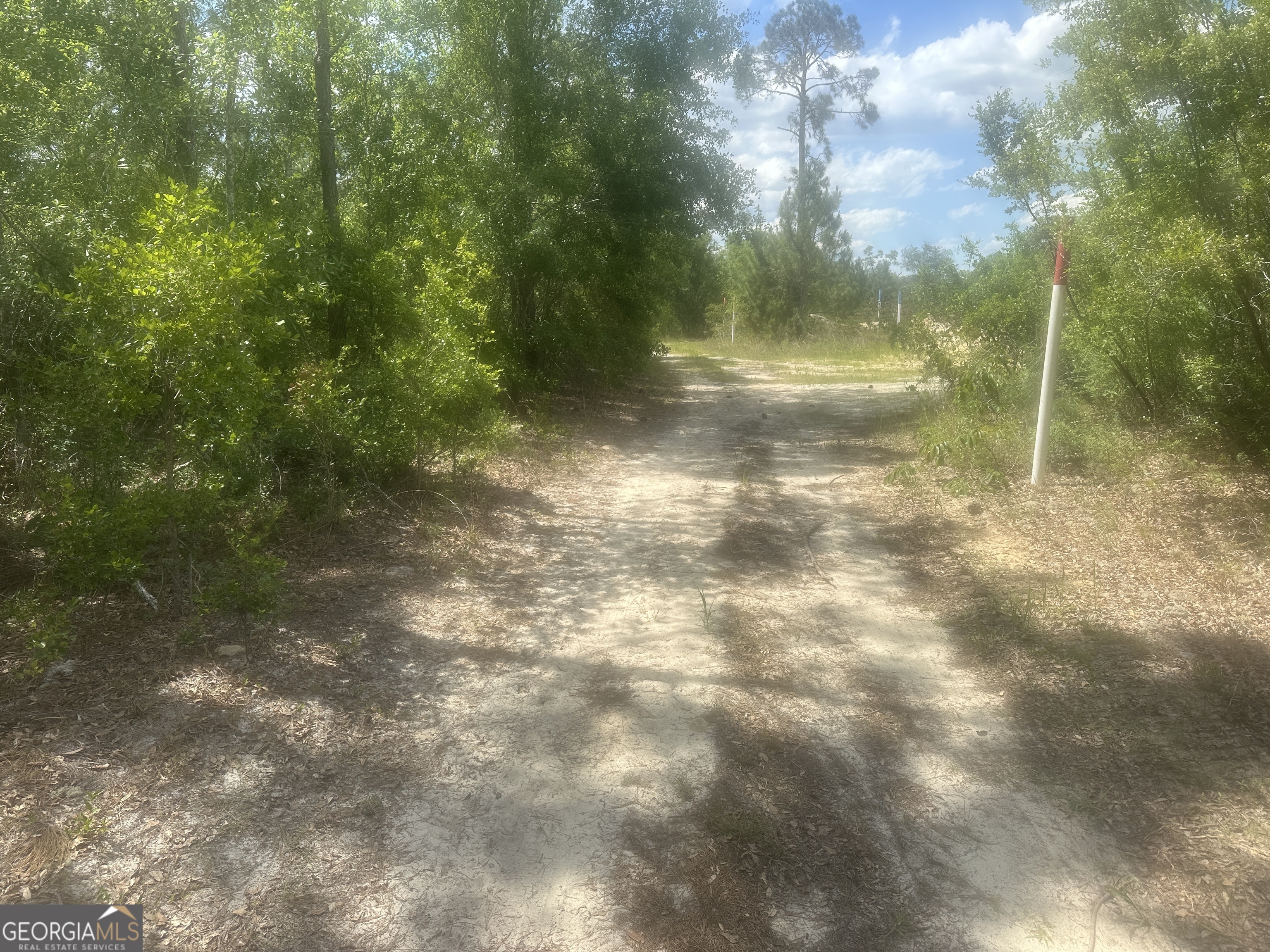 0 Robert Chapel Cemetery Road Property Photo 3