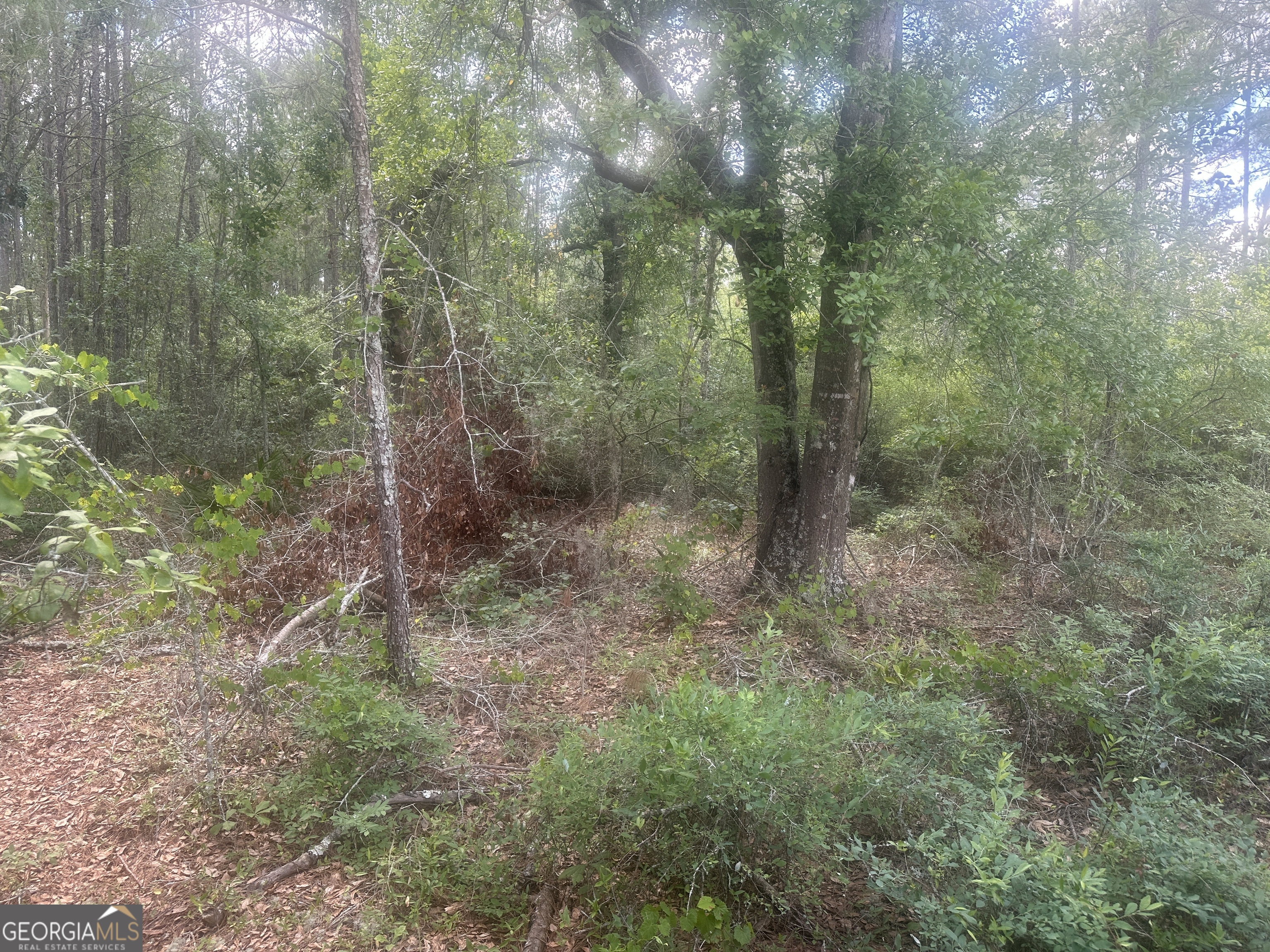 0 Robert Chapel Cemetery Road Property Photo 4