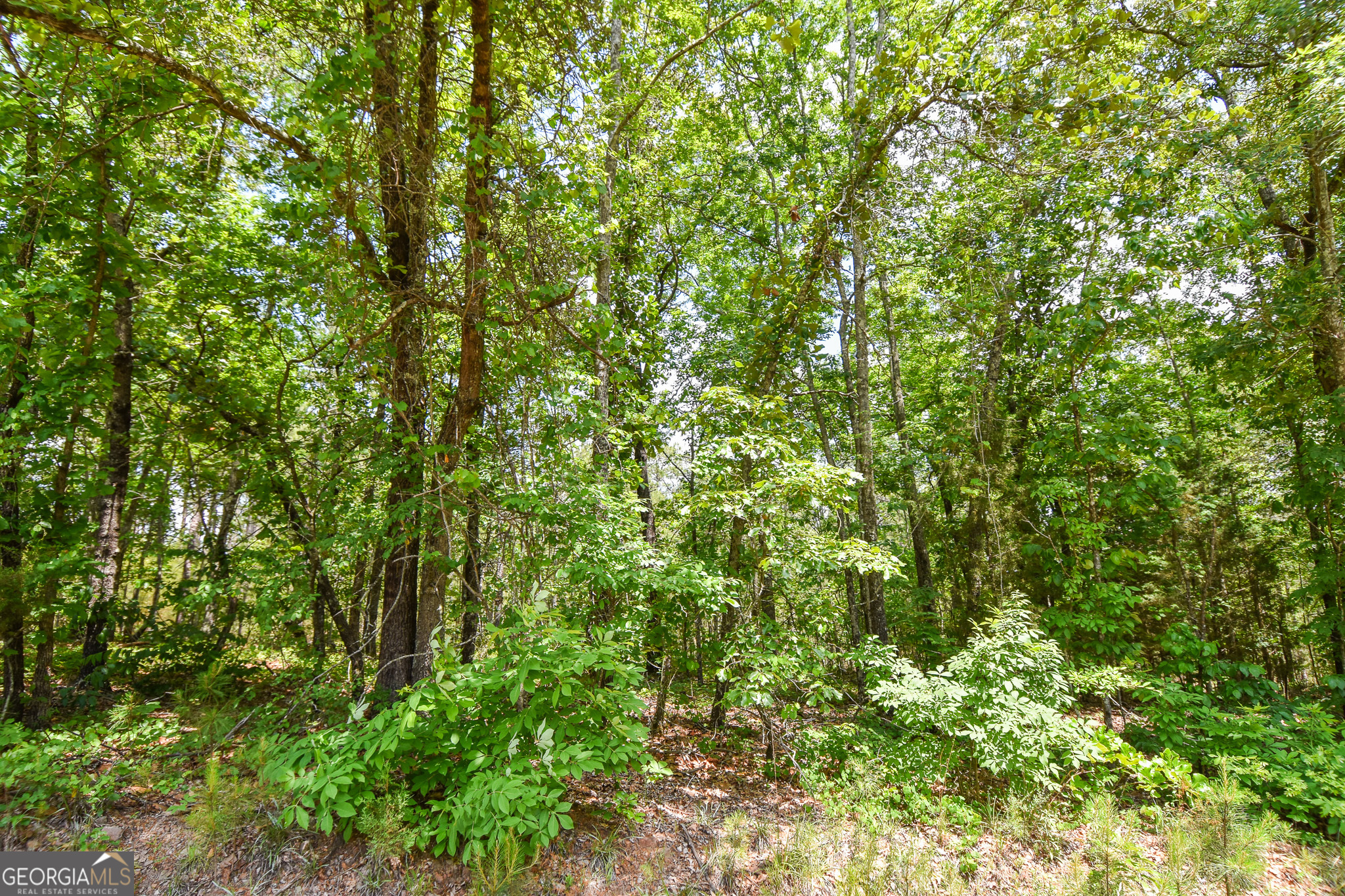 0 Skelton Road Lot 12 Property Photo