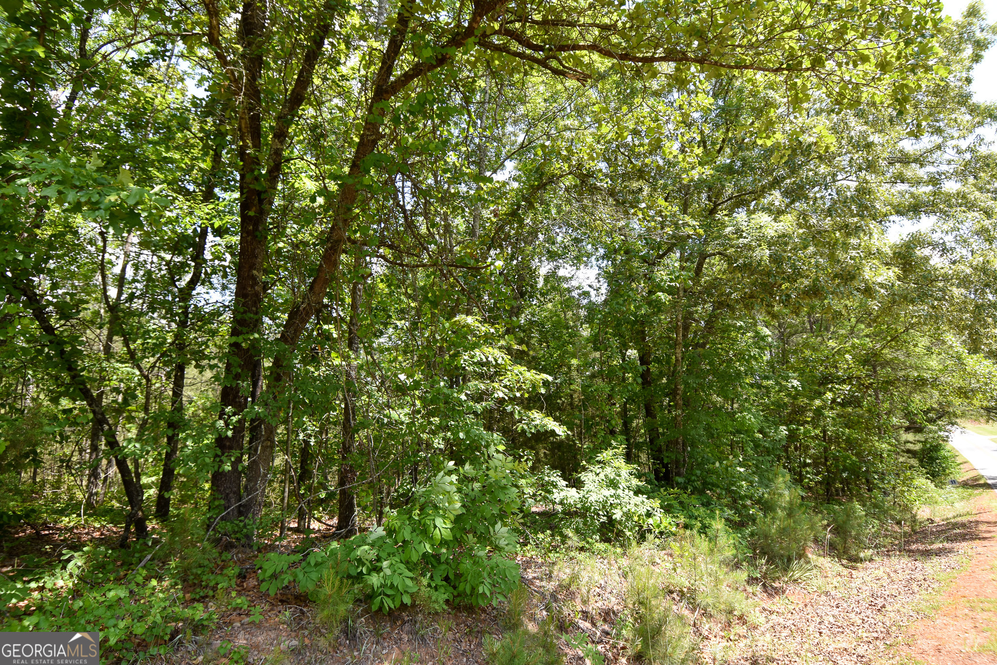 0 Skelton Road Lot 13 Property Photo