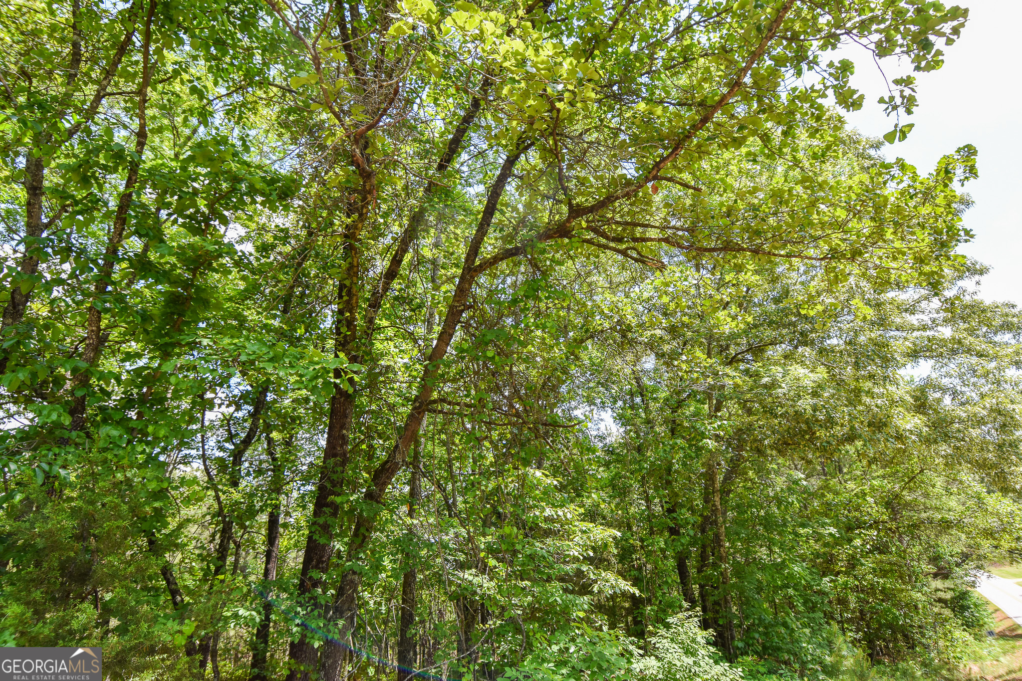 0 Skelton Road Lot 14 Property Photo