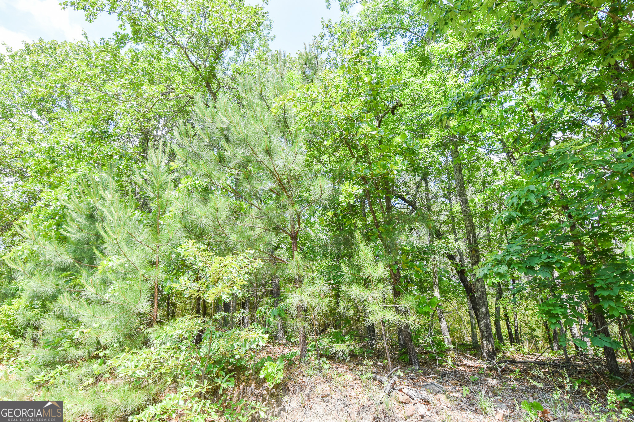 0 Skelton Road Lot 15 Property Photo 1