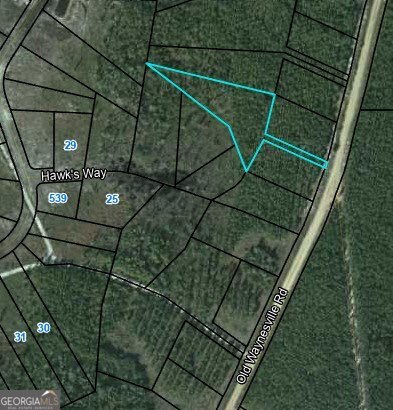 Lot 16 Old Waynesville Road Property Photo 1