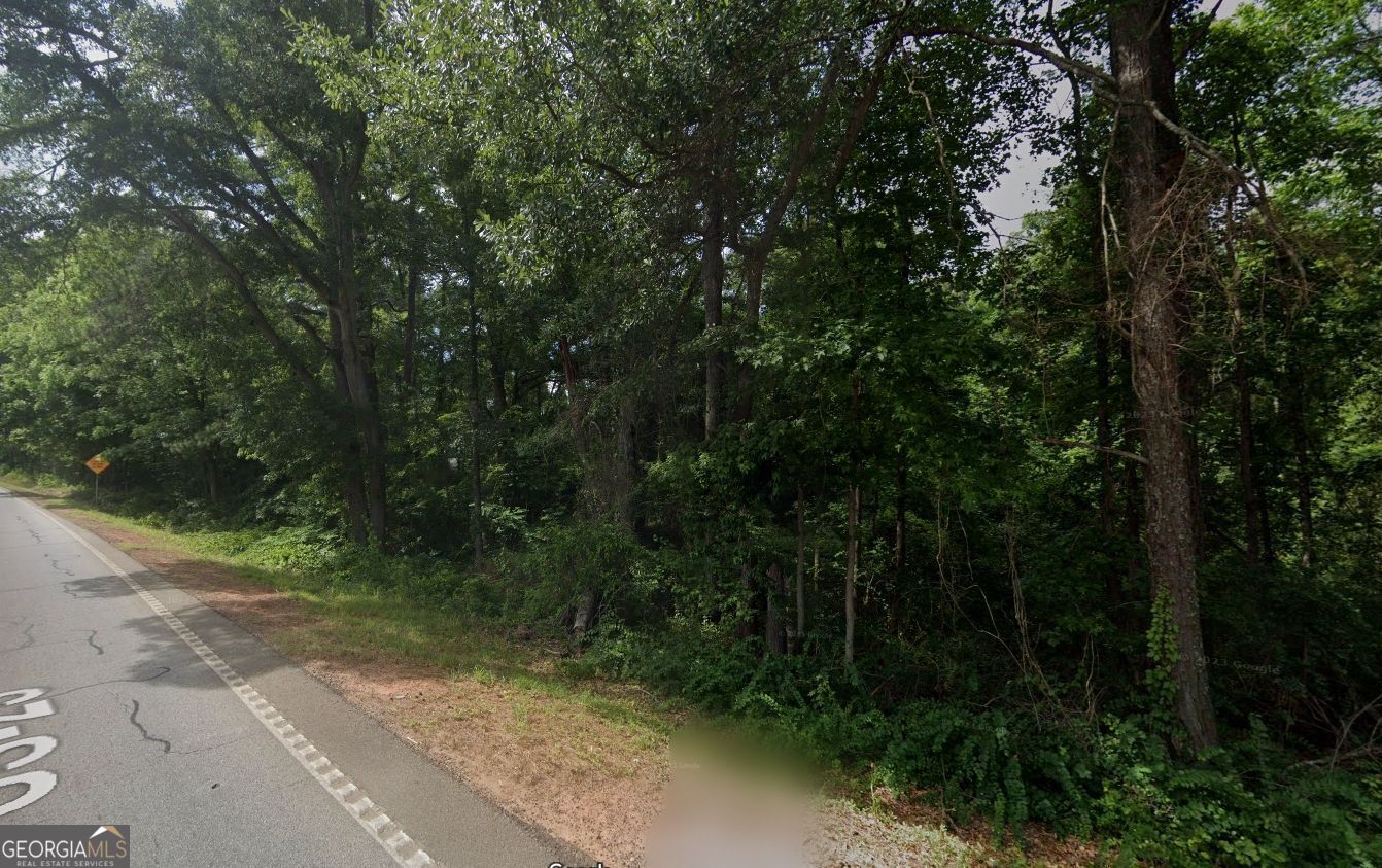 0 Highway 42 S Property Photo 3