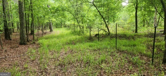 678 Seabolt Road Property Photo 1