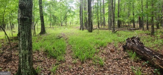 678 Seabolt Road Property Photo 8