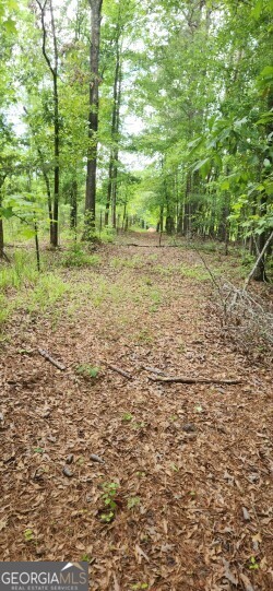 678 Seabolt Road Property Photo 10