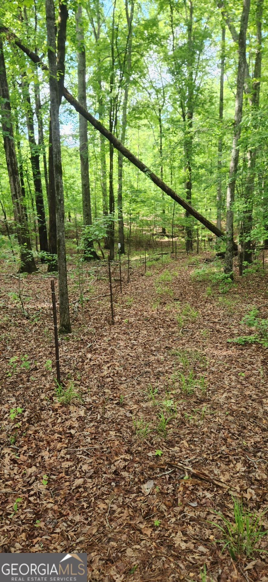 678 Seabolt Road Property Photo 11