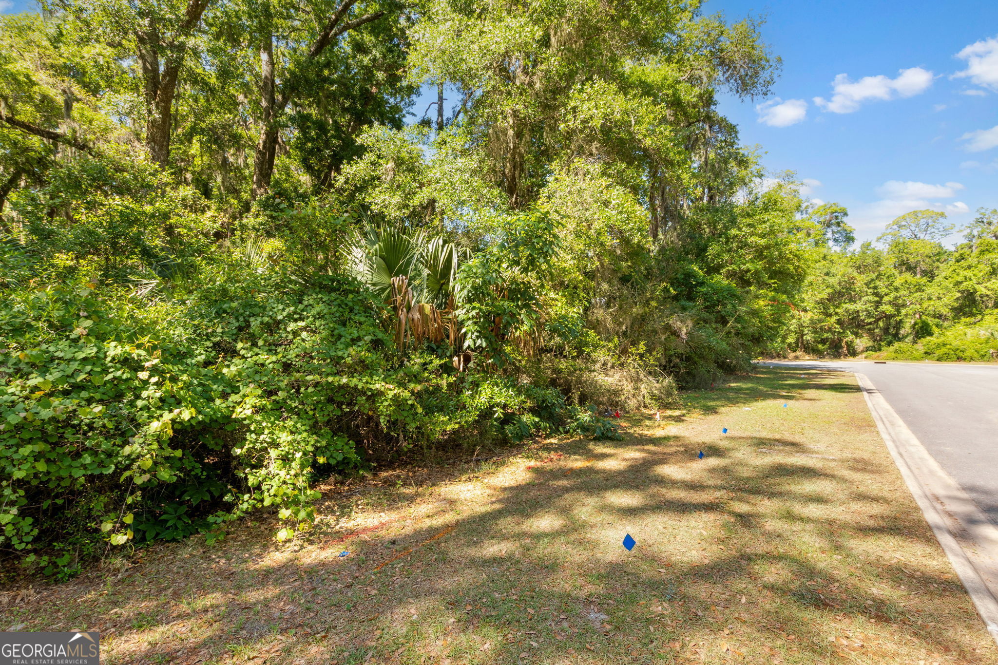 0 Doubloon Court Property Photo 1