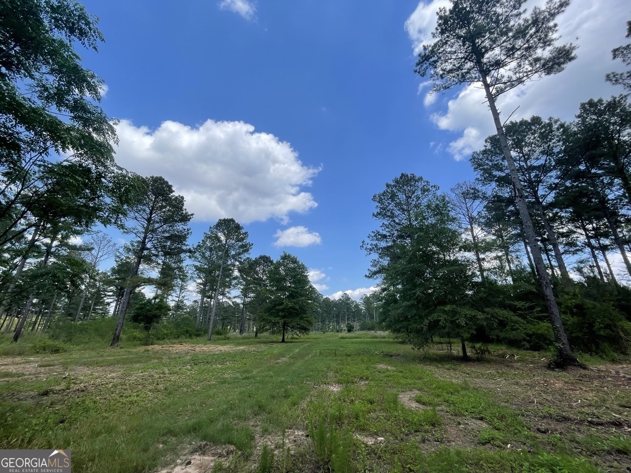18 Duke Property Photo 1