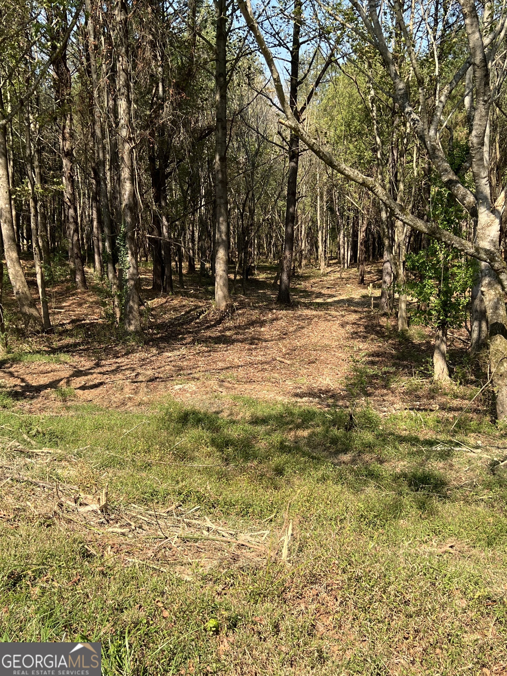 850 Browning Road Property Photo 1
