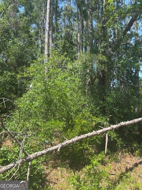 0 Stoney Brook Way Property Photo 1