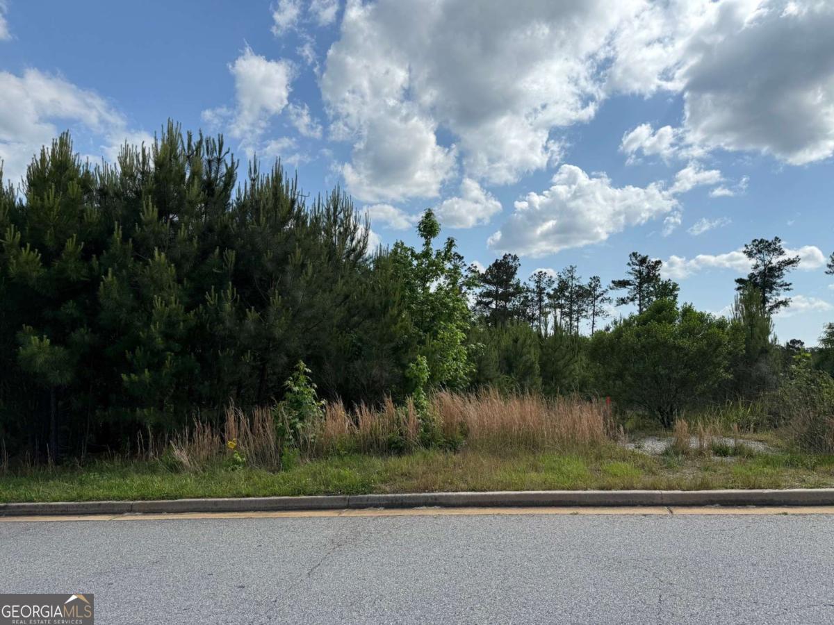 40 Arbor Springs Parkway Property Photo 1