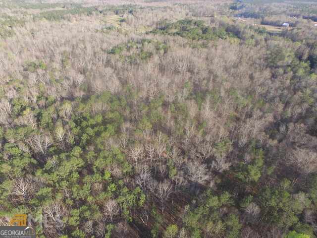 928 Hwy 19 Property Photo 46