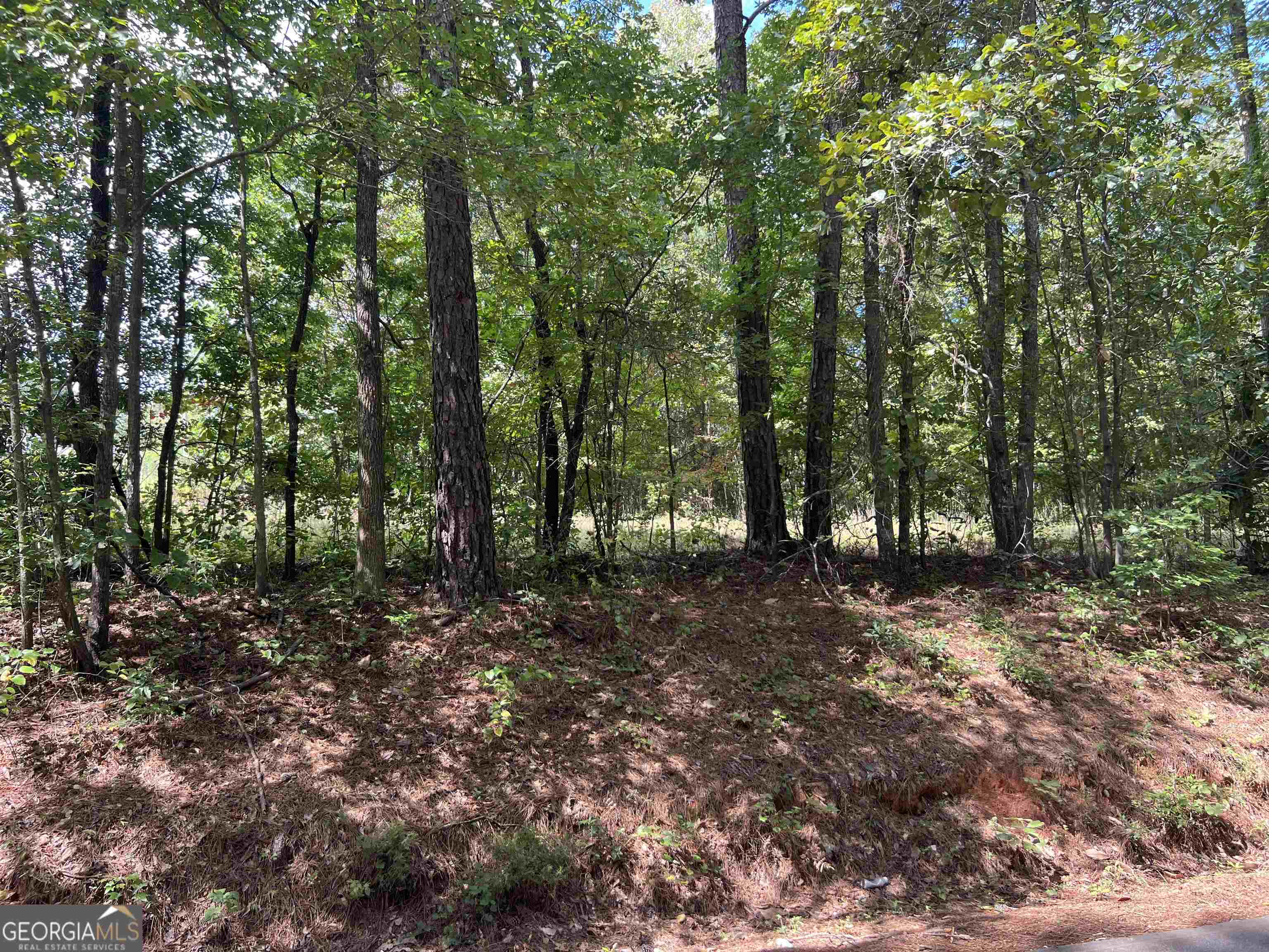 Lot 15 Weems Road Property Photo 1
