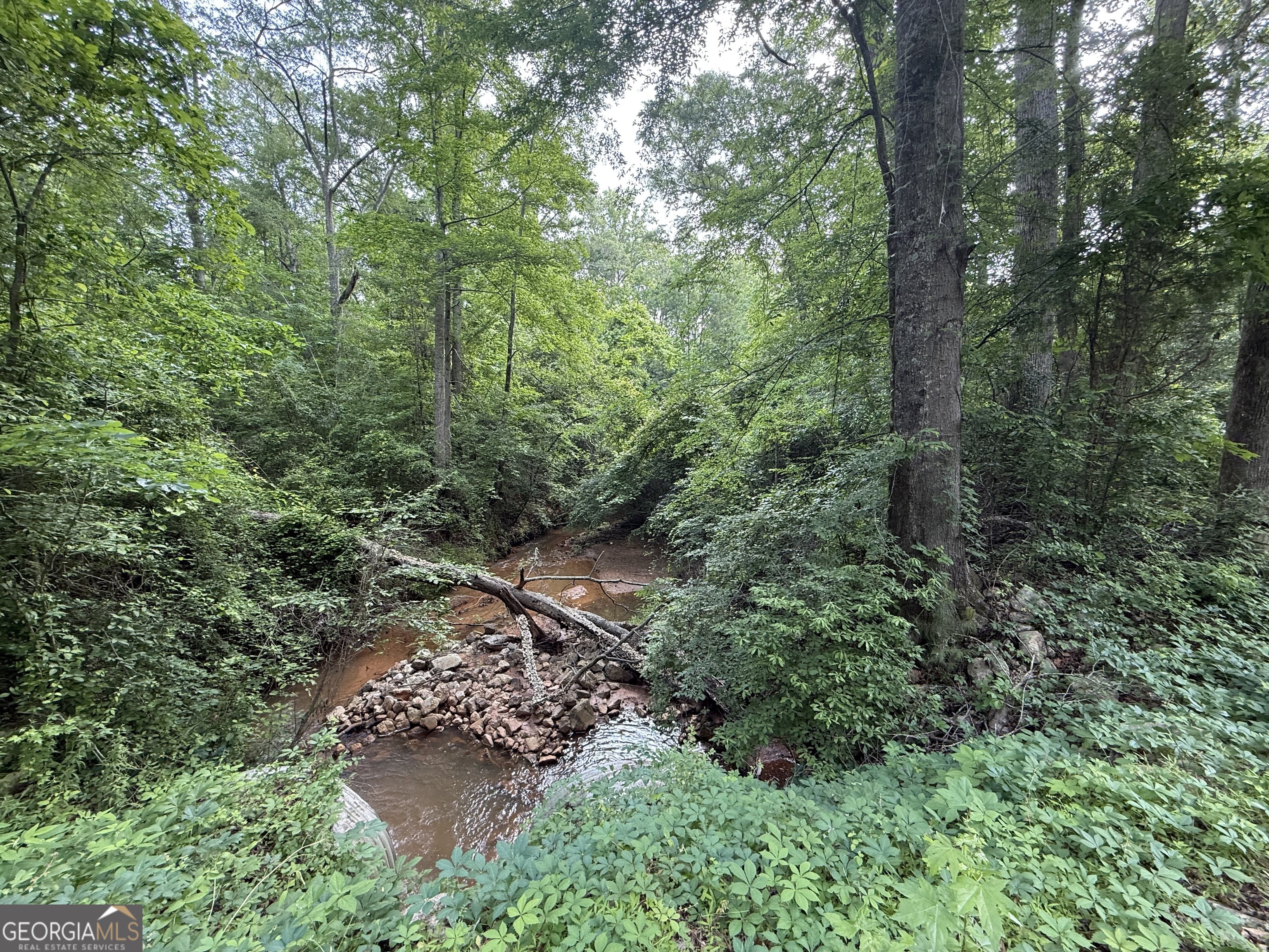 0 Zellner Road Lot 19 Property Photo 1