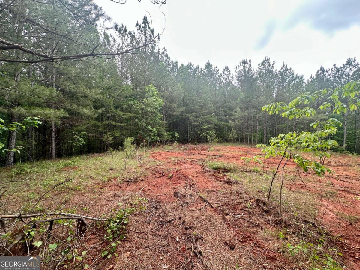 5.3-/+ Patriot Property Photo 1