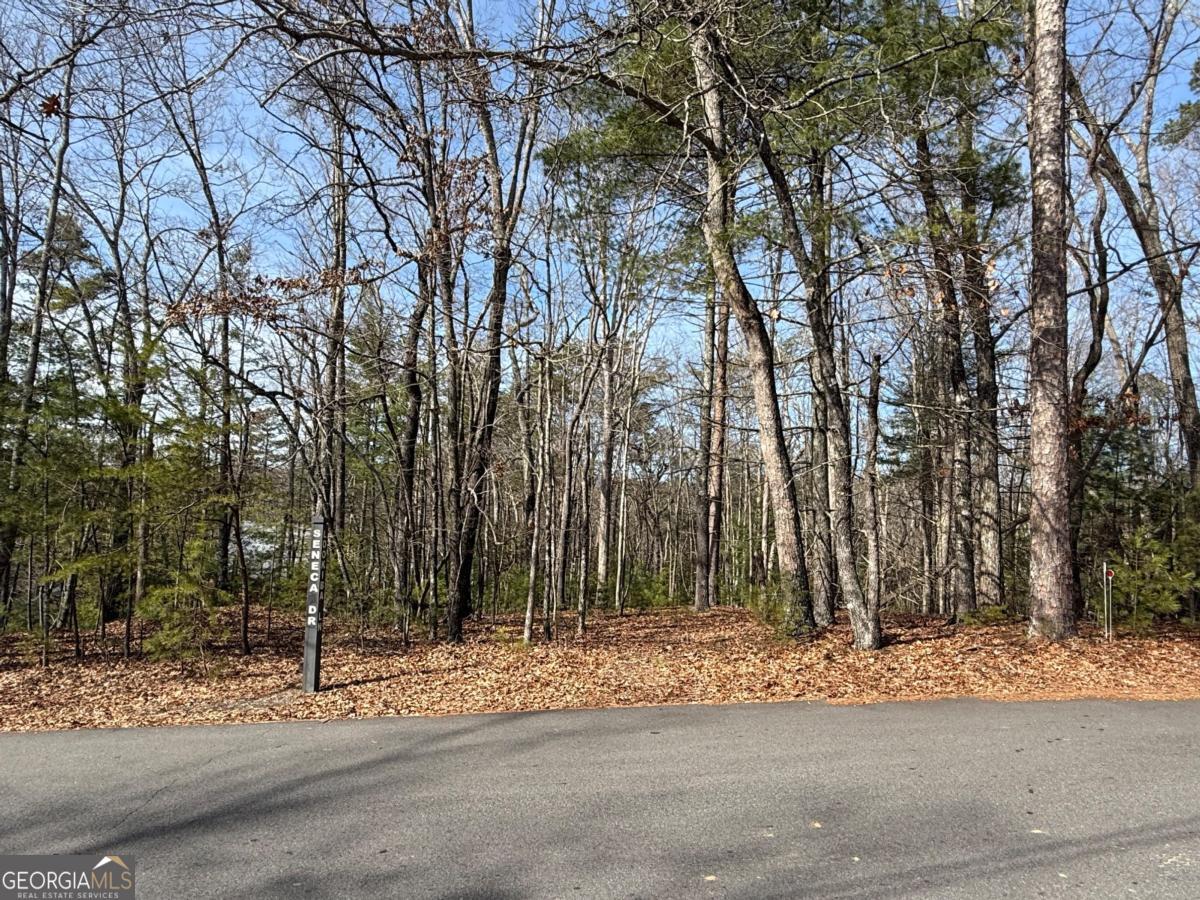 Lot 47 Seneca Drive Property Photo 1