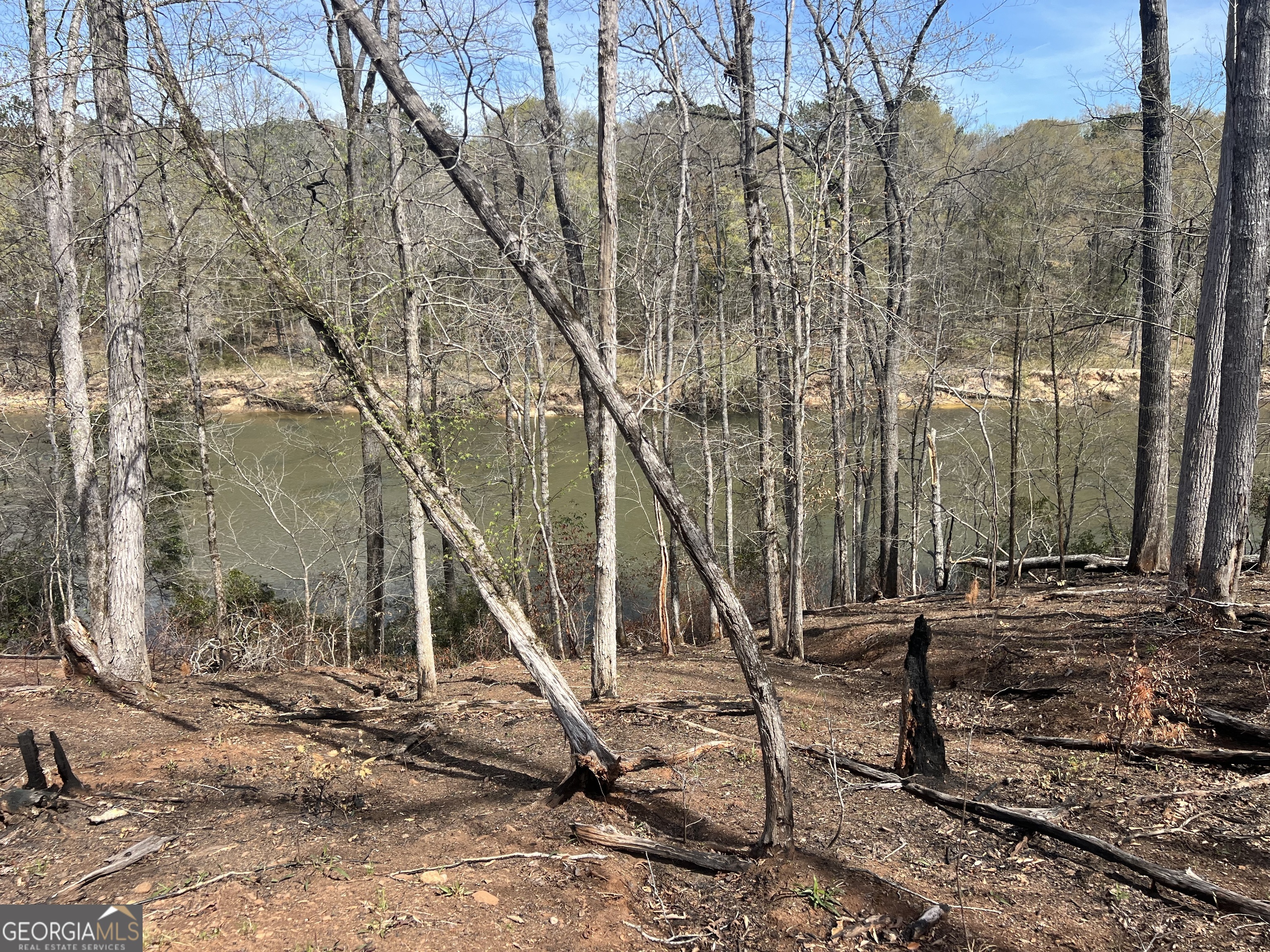 0 Hwy 36 Lot 3 Property Photo 1