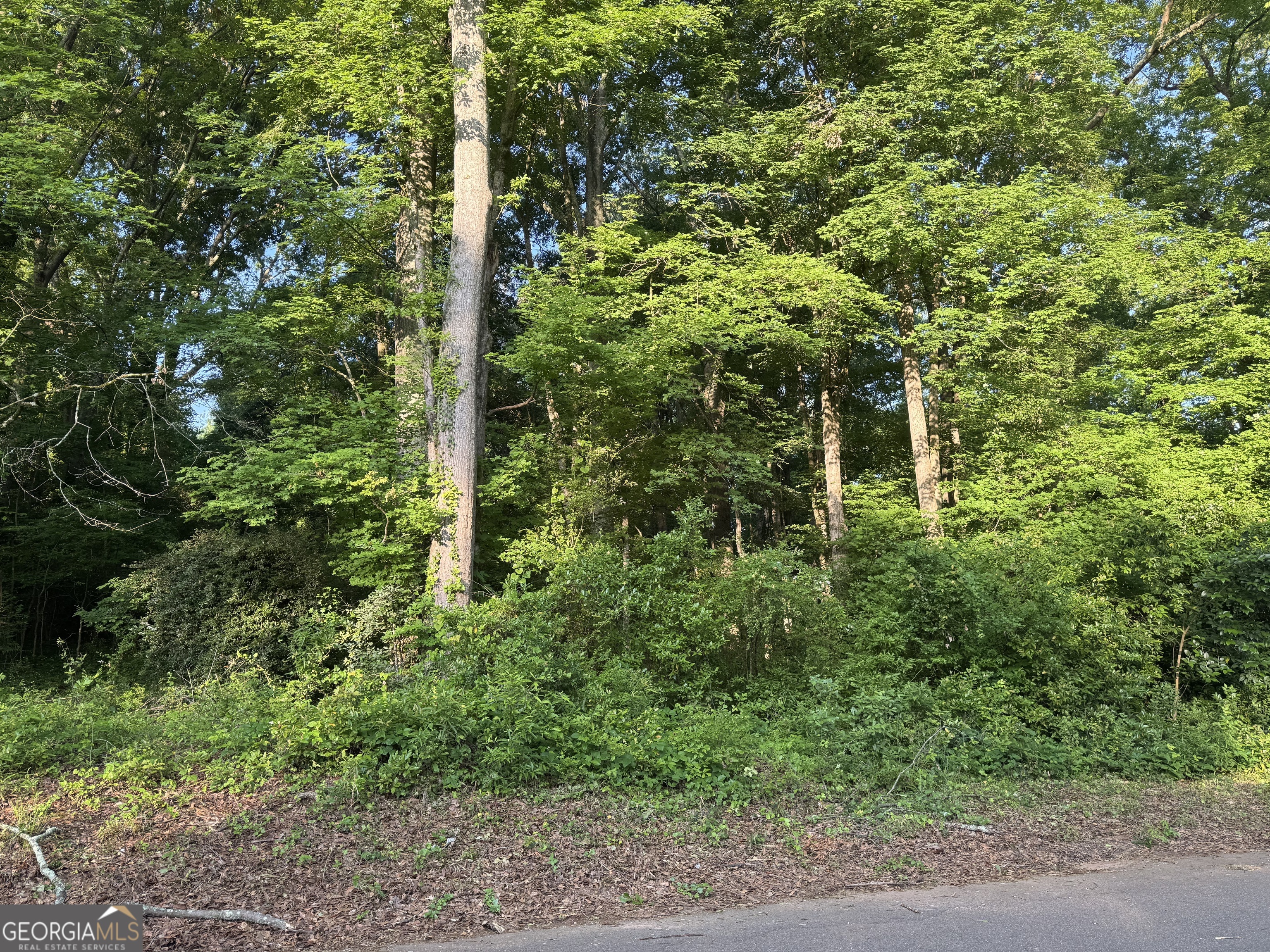 0 Dolly Drive Property Photo 1