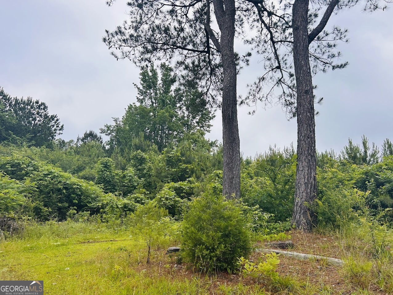 2485 Mitchellville Road Property Photo 1