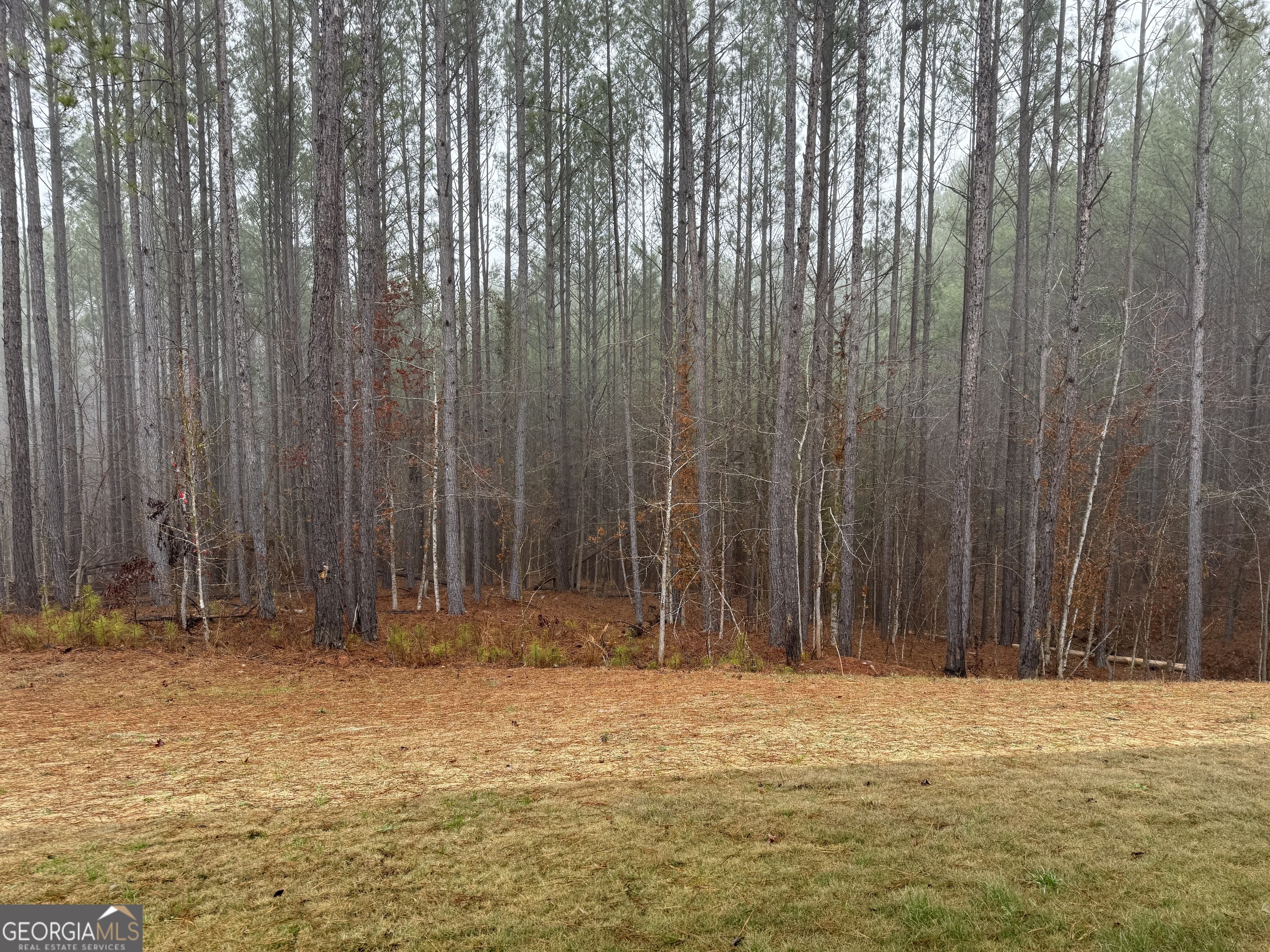 33 Wolf Creek Cove Property Photo 31