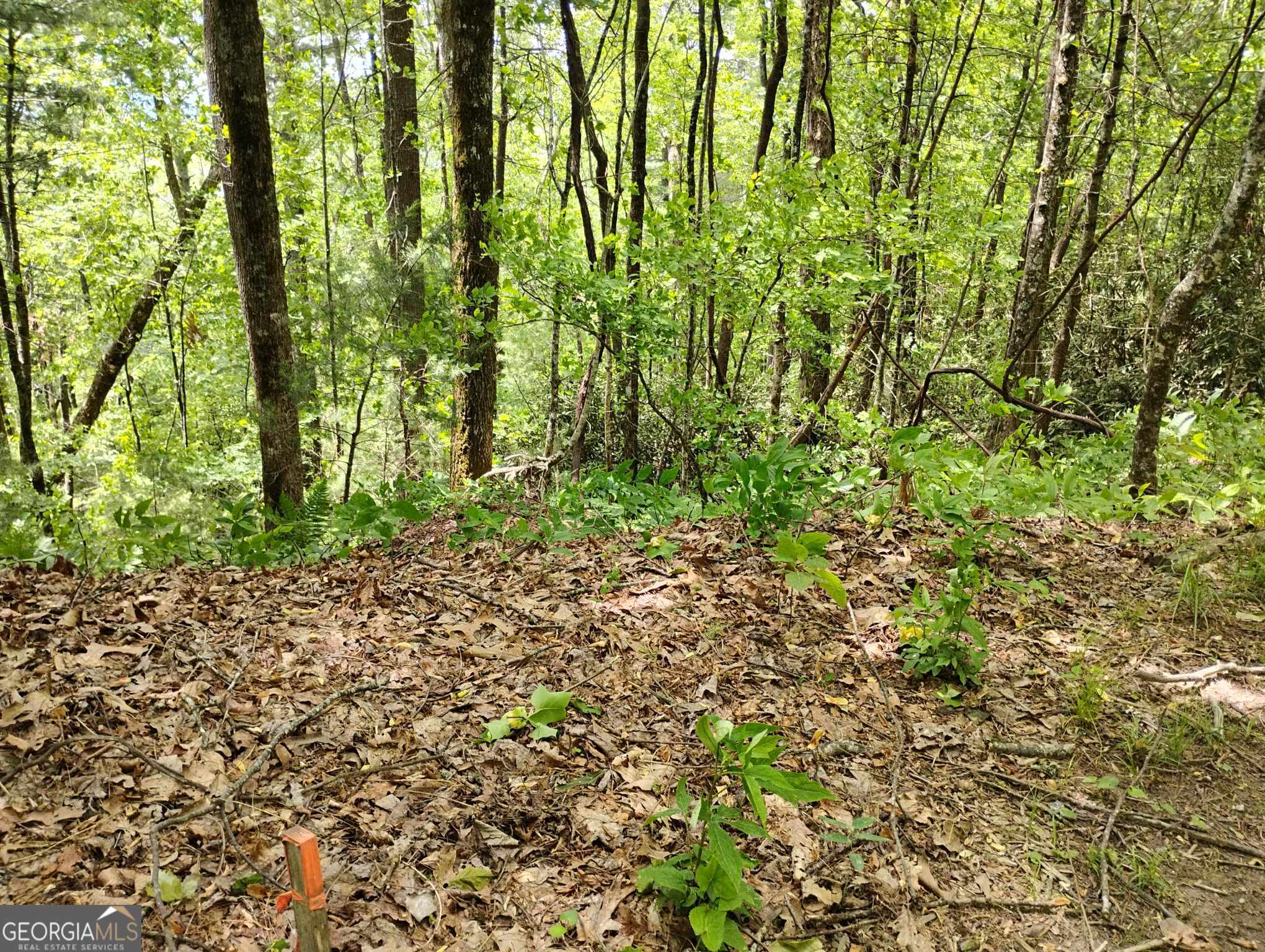 0 Ridgepole Drive Lot 120 Property Photo 1