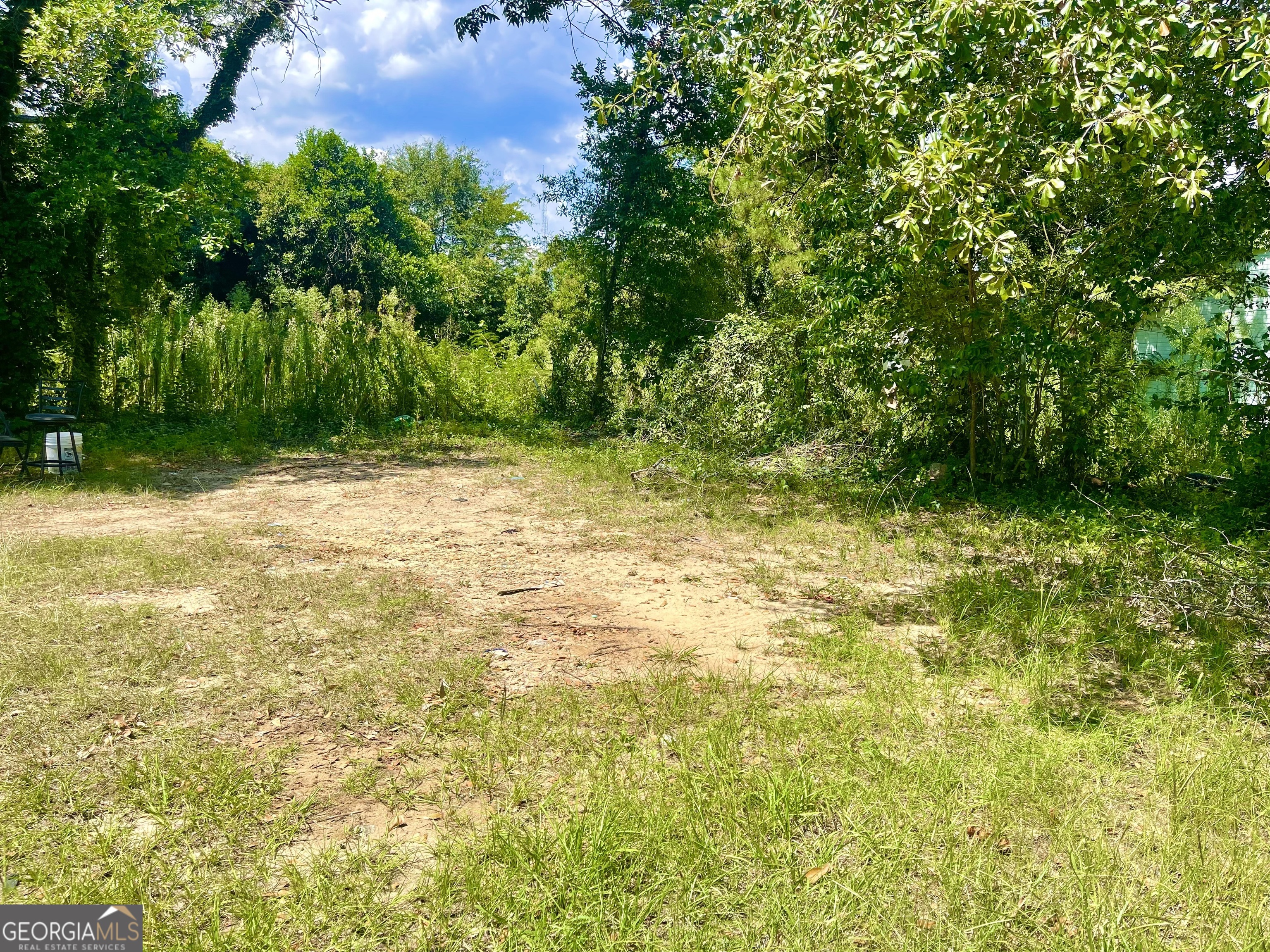 254 Forest Avenue Property Photo 3