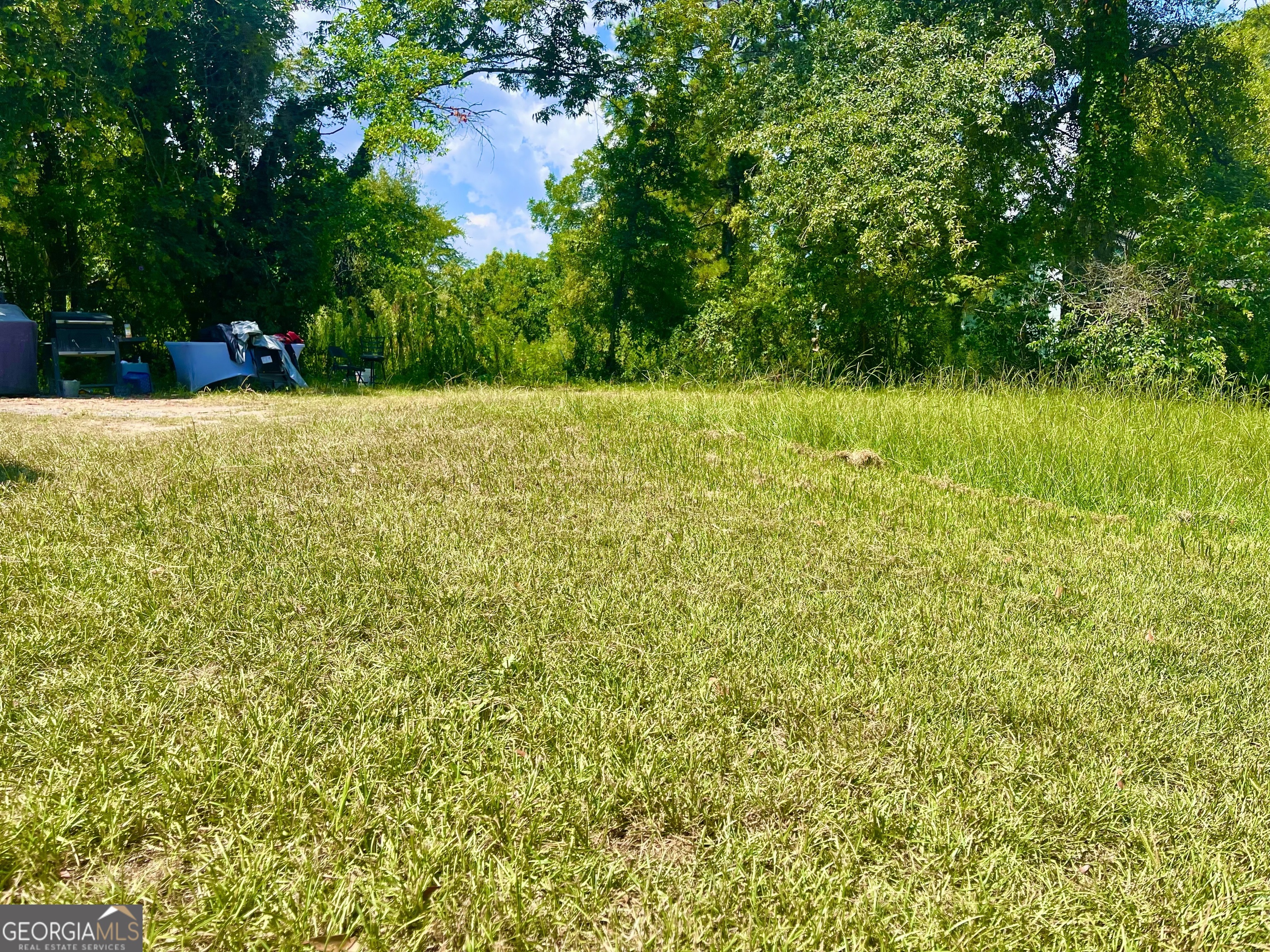 254 Forest Avenue Property Photo 5