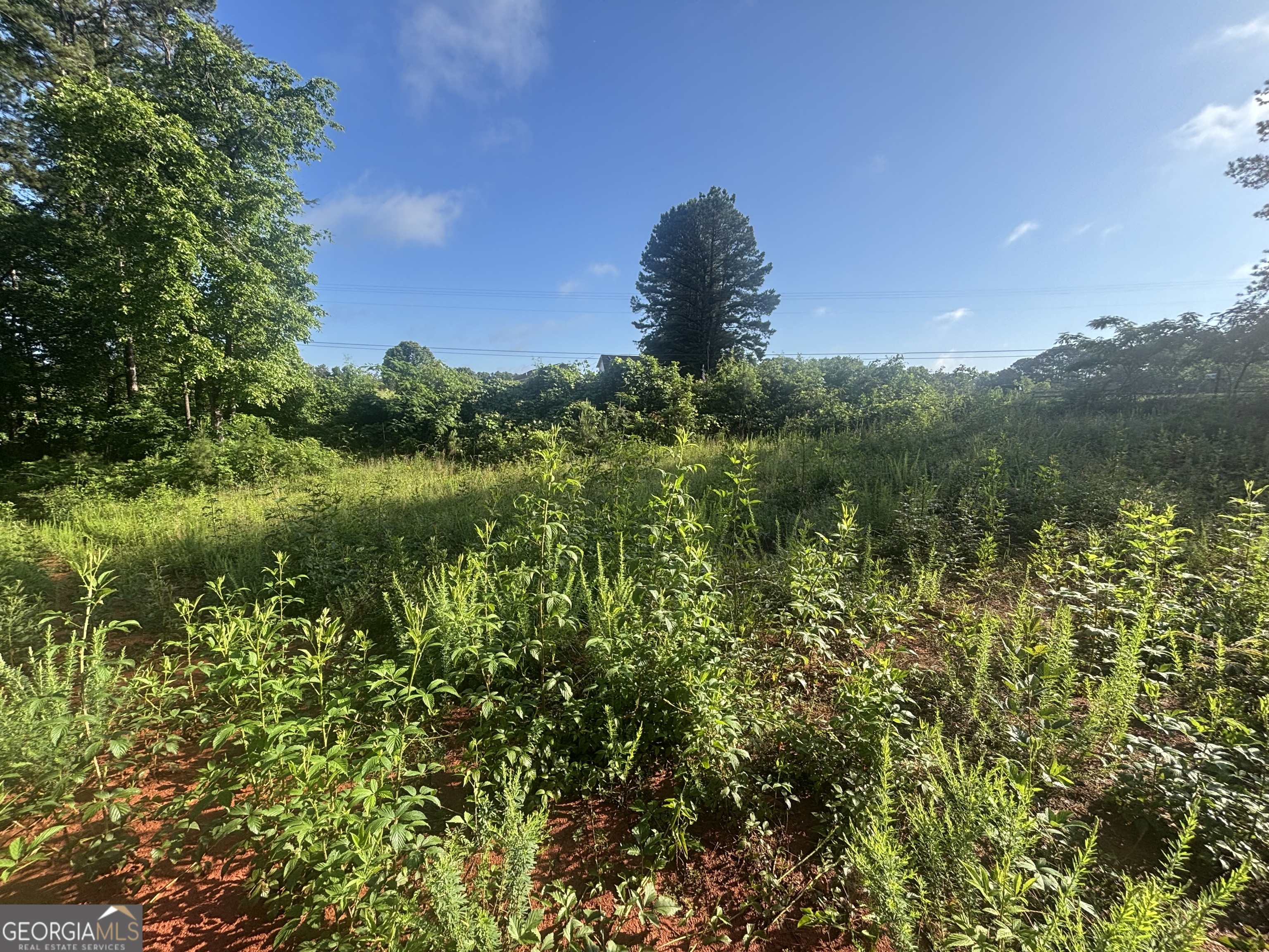 0 Davis Rd 1.63 Acres Property Photo 1