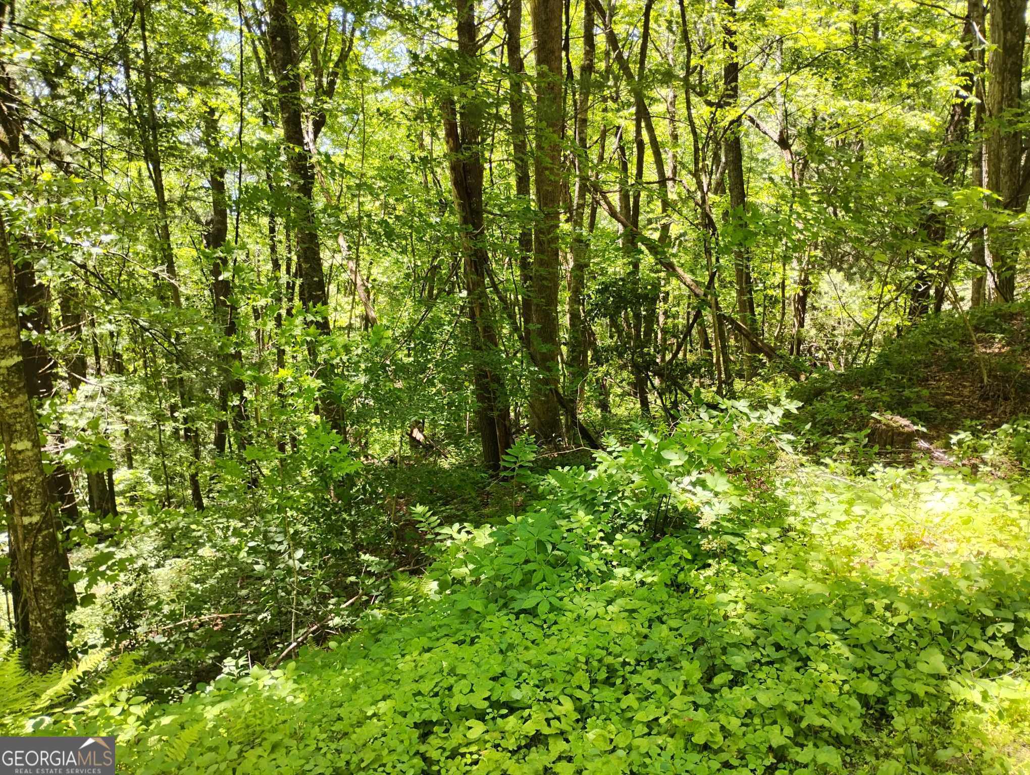 0 Labelle Circle Lot 92 Property Photo 1
