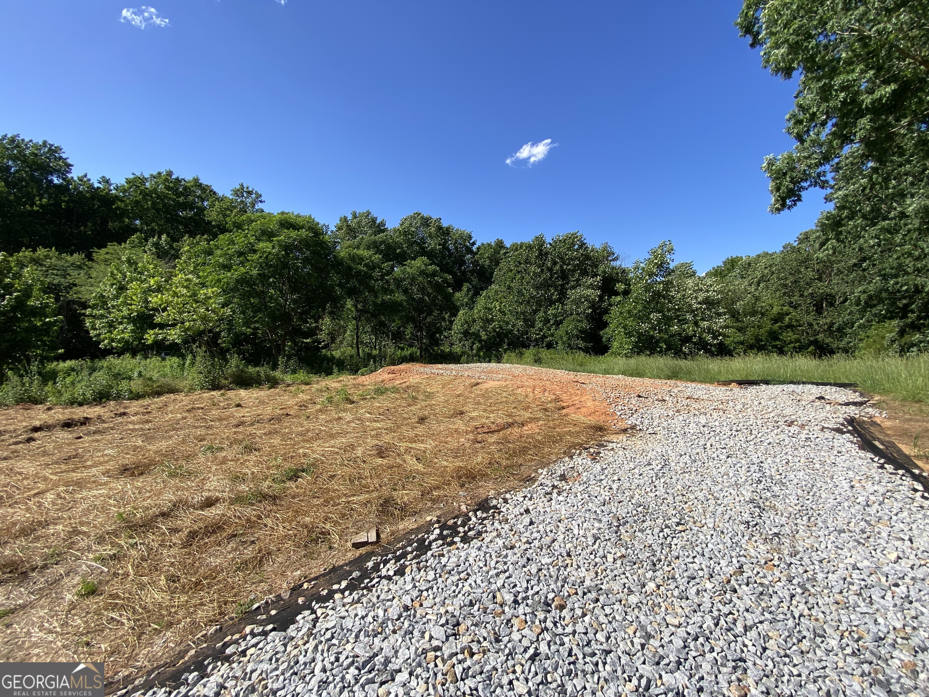 0 Hwy 51s Property Photo 1