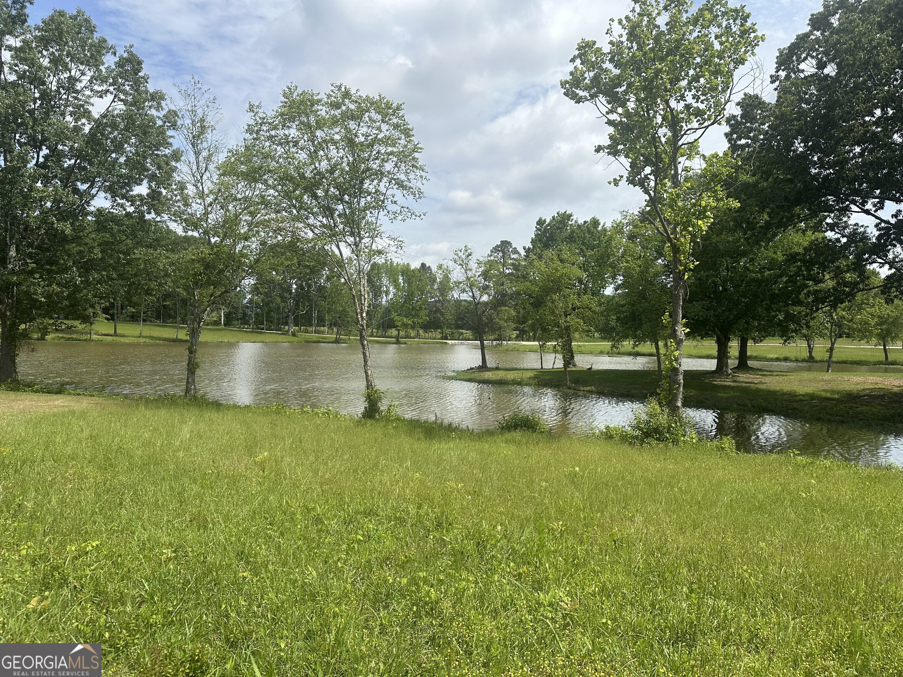 Lot 7 County Road 115 Property Photo 1