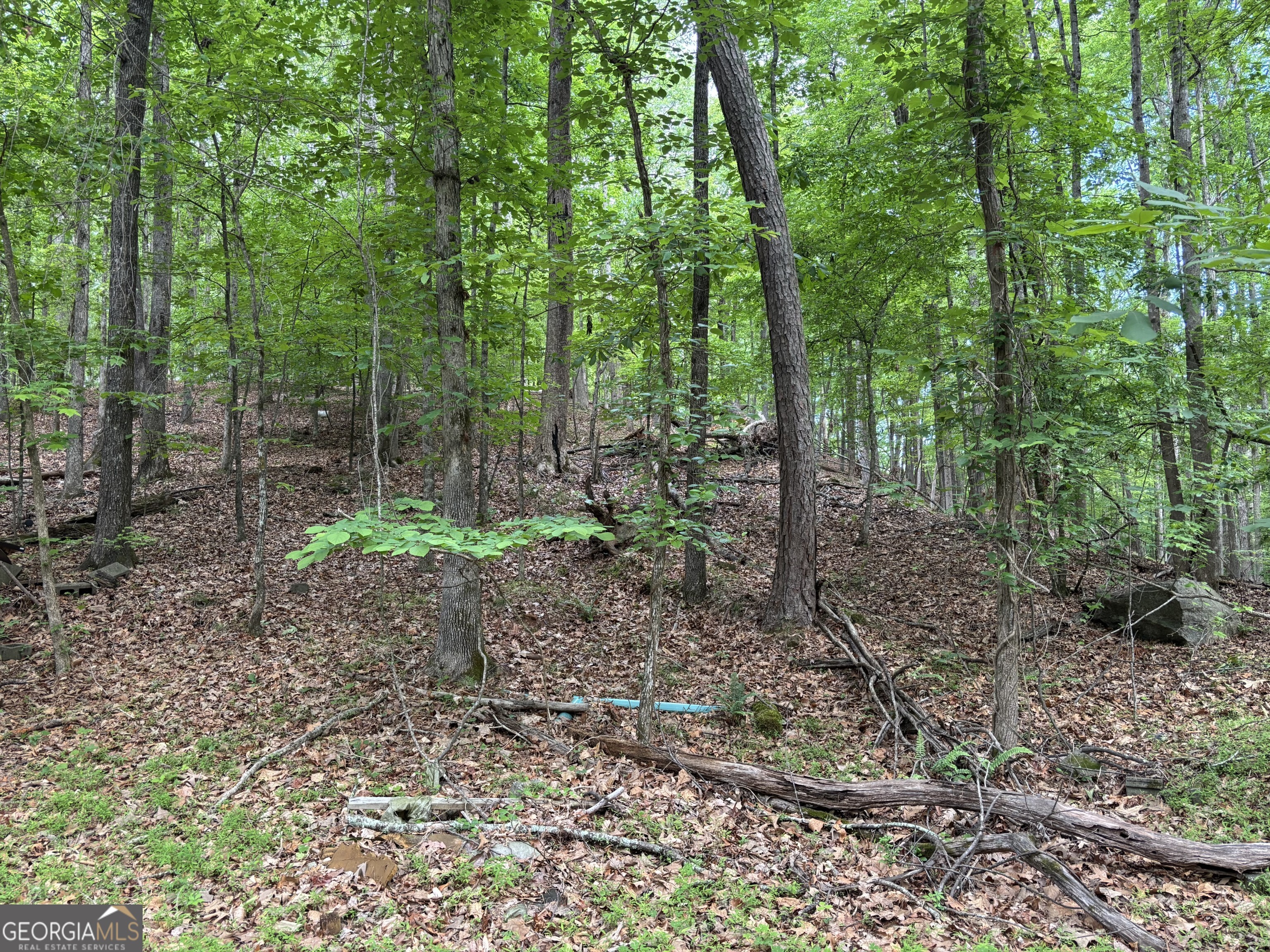 0 Harrison Drive Property Photo 1