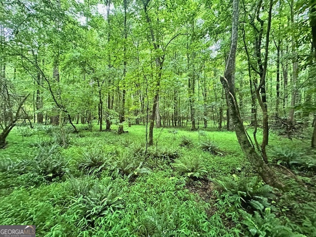 0 Cedar Lane Property Photo 1