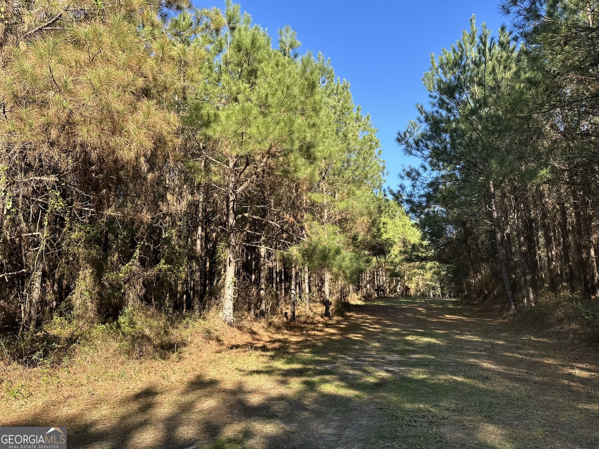 014 Mt Zion Road Property Photo 1