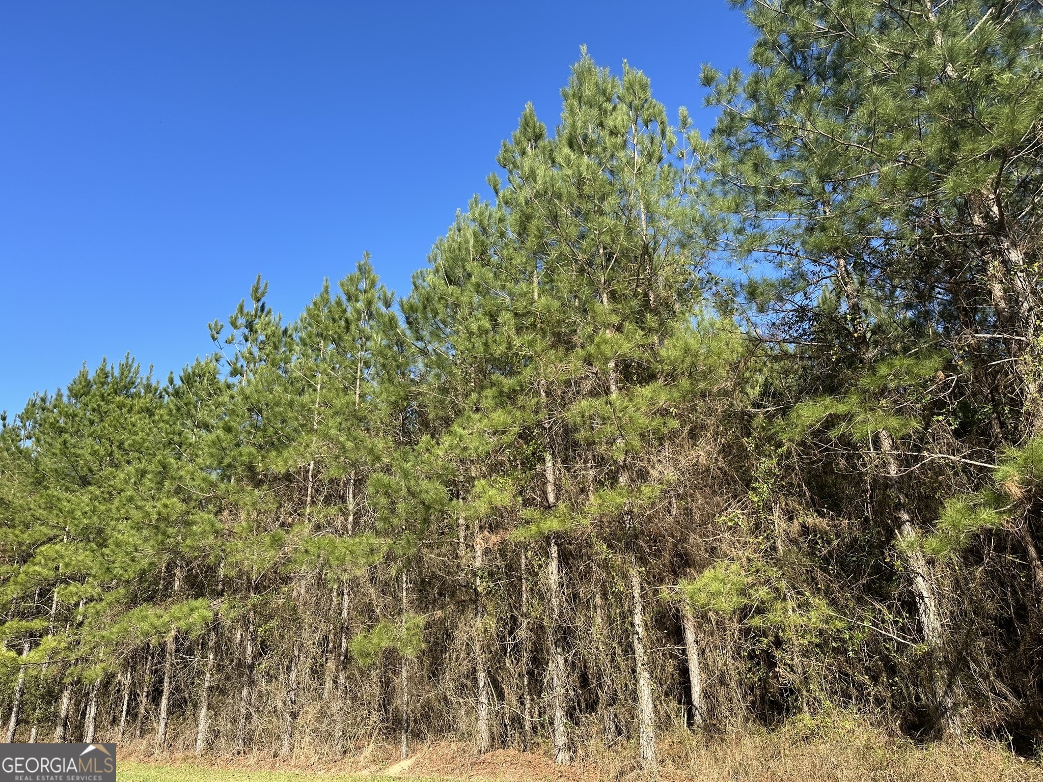 014 Mt Zion Road Property Photo 2