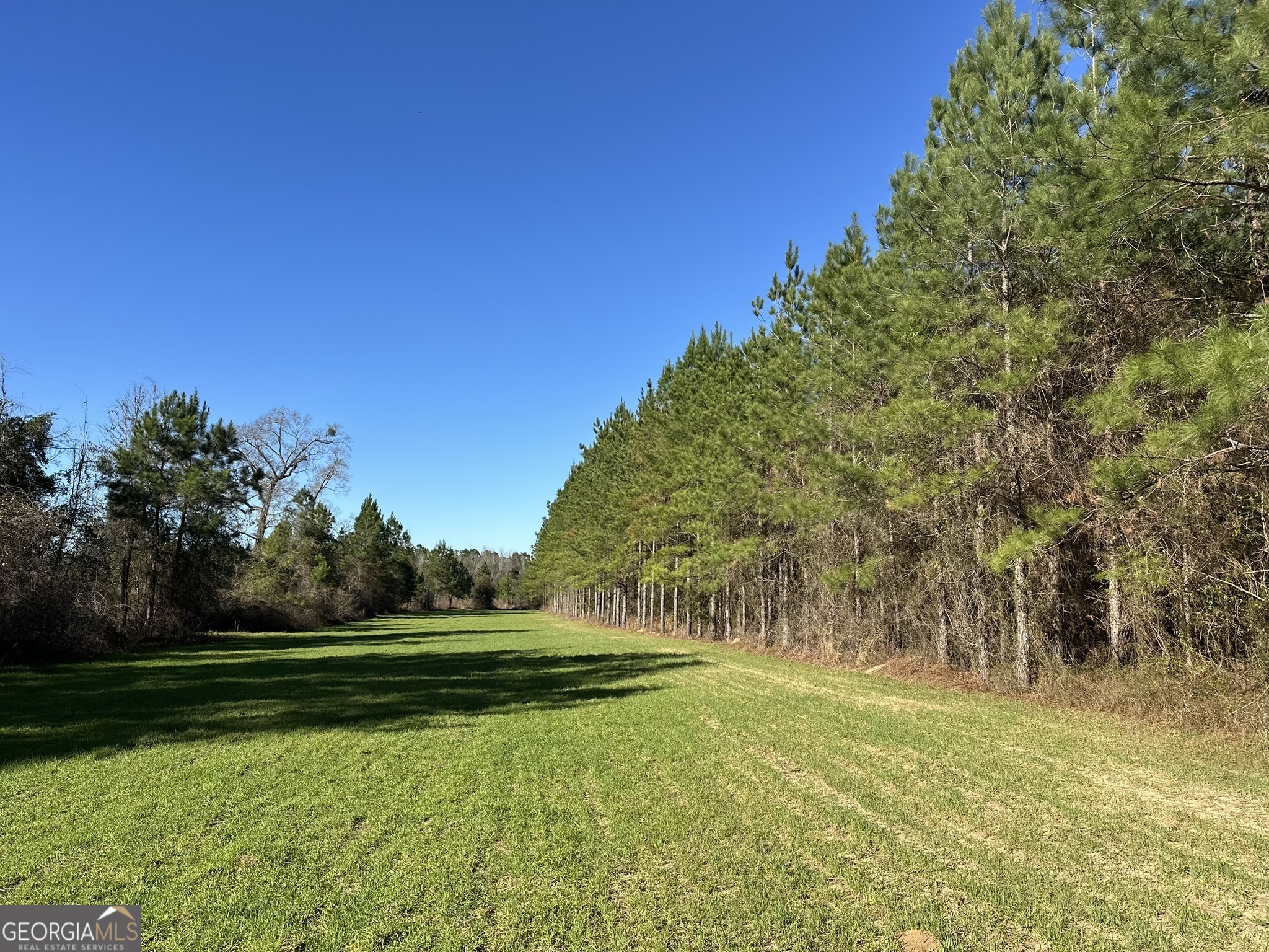 014 Mt Zion Road Property Photo 4