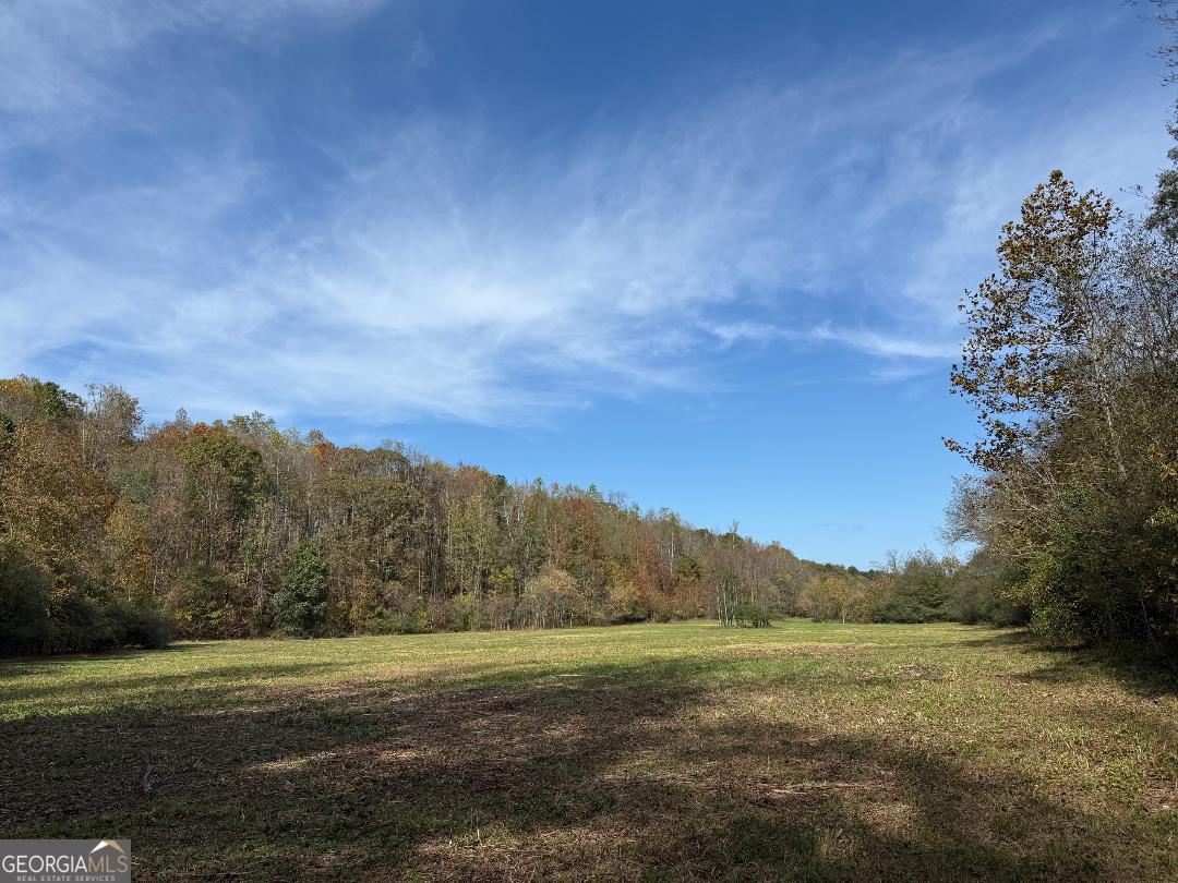 2772 Mount Zion Property Photo 1