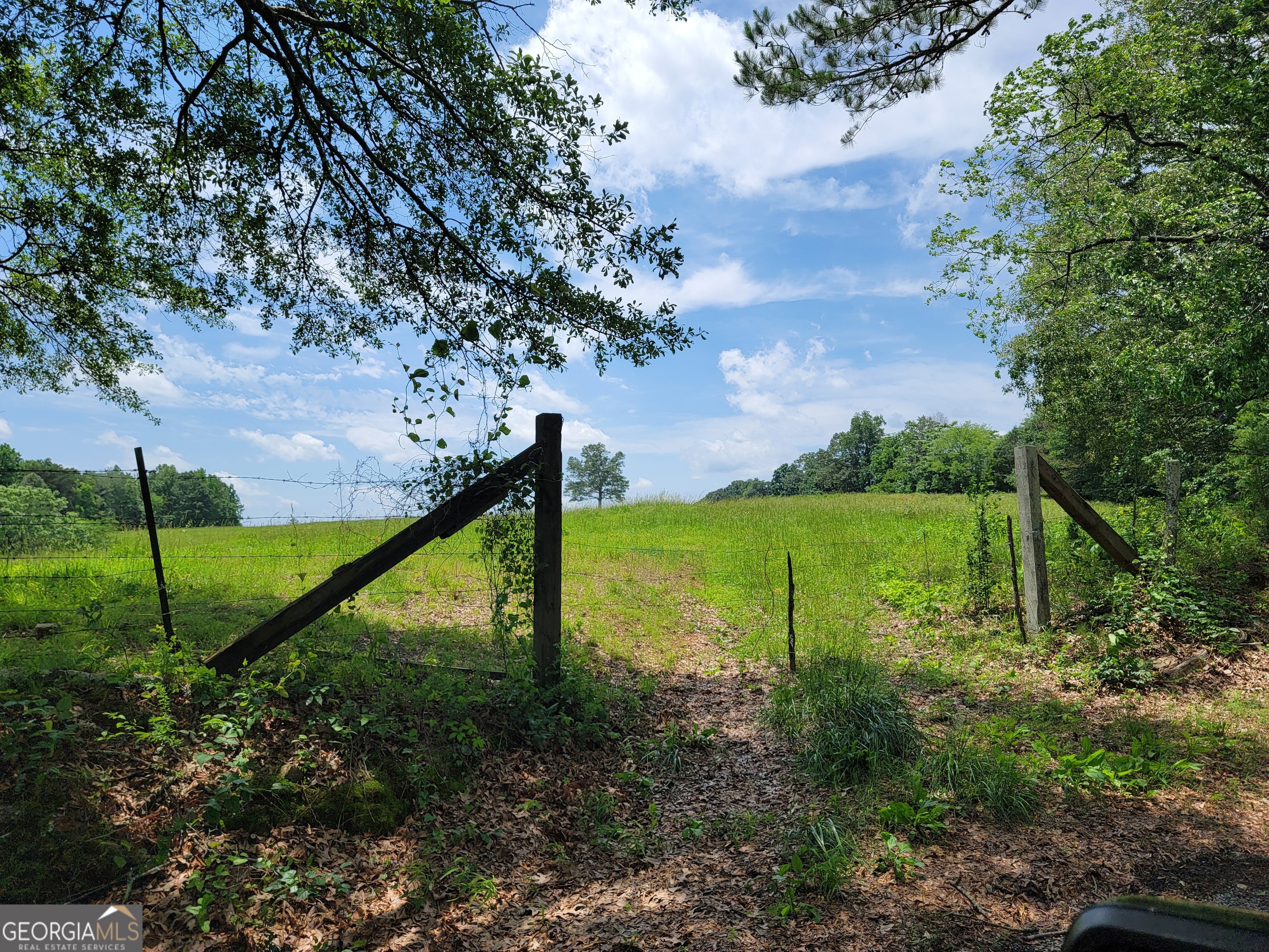 0 Co Rd 64 Property Photo 10