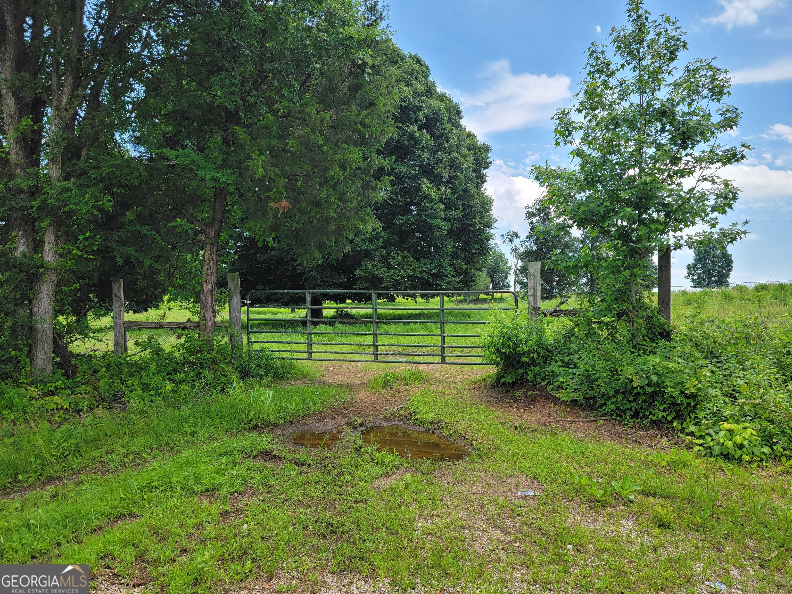0 Co Rd 64 Property Photo 11