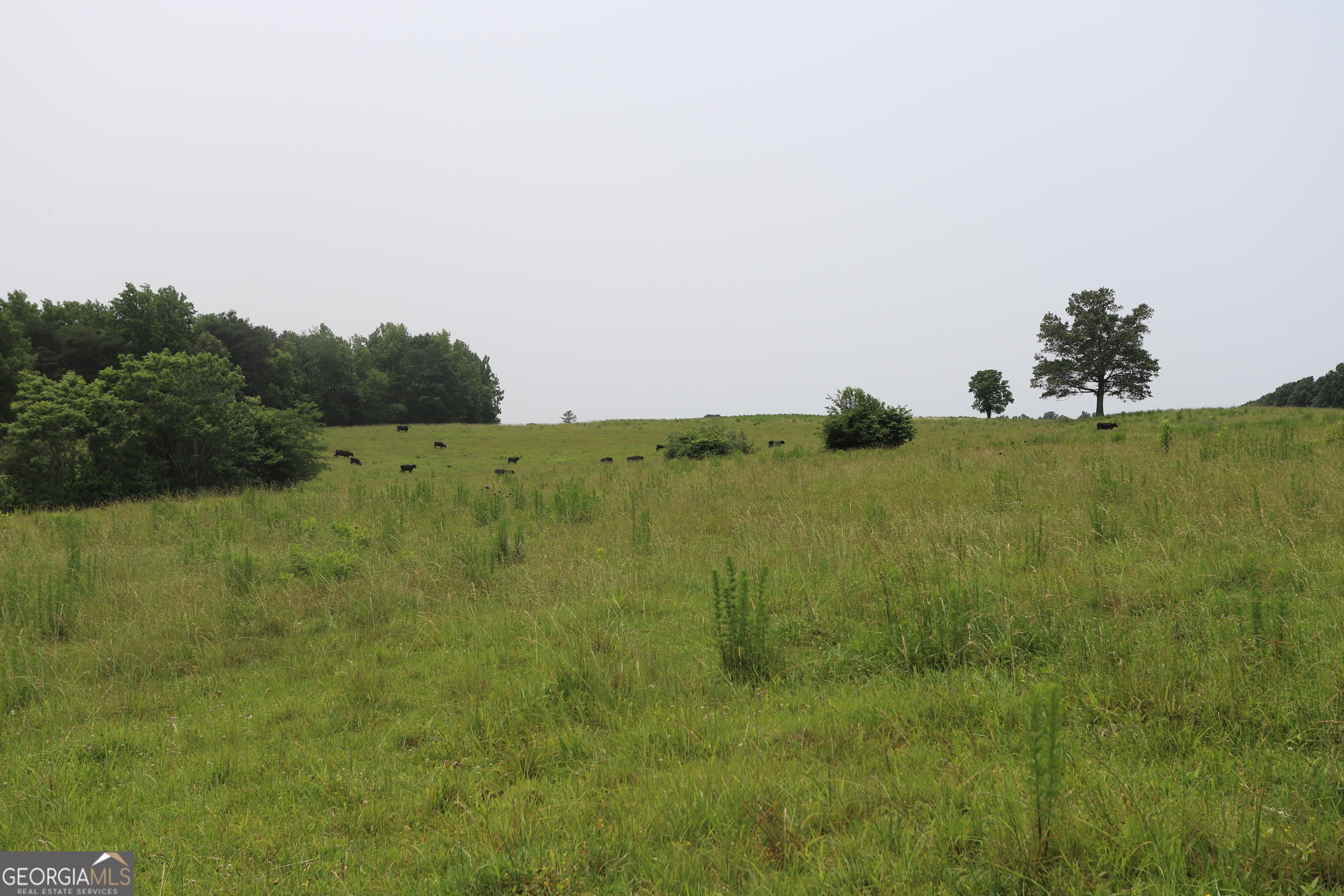 0 Co Rd 64 Property Photo 49