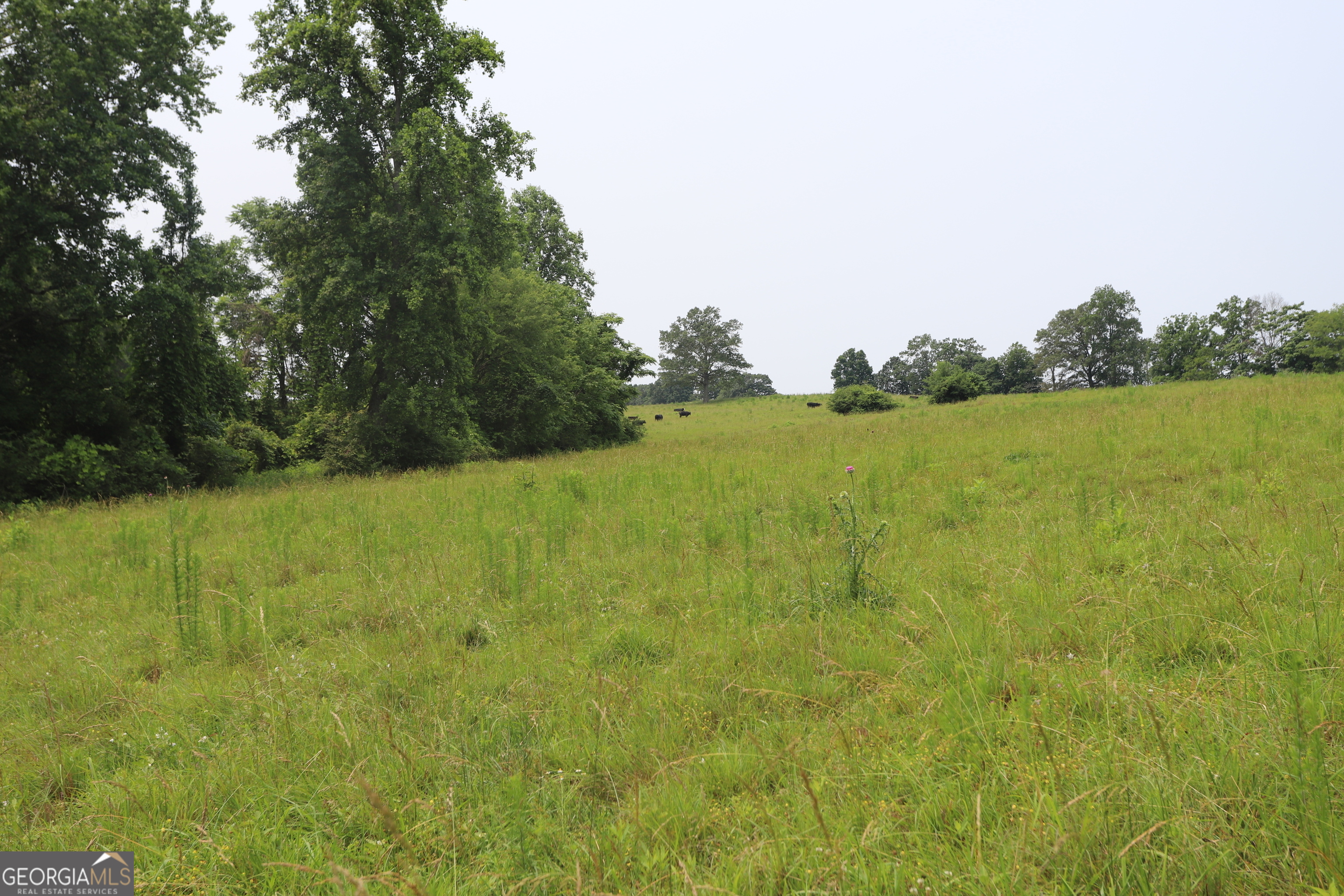 0 Co Rd 64 Property Photo 50
