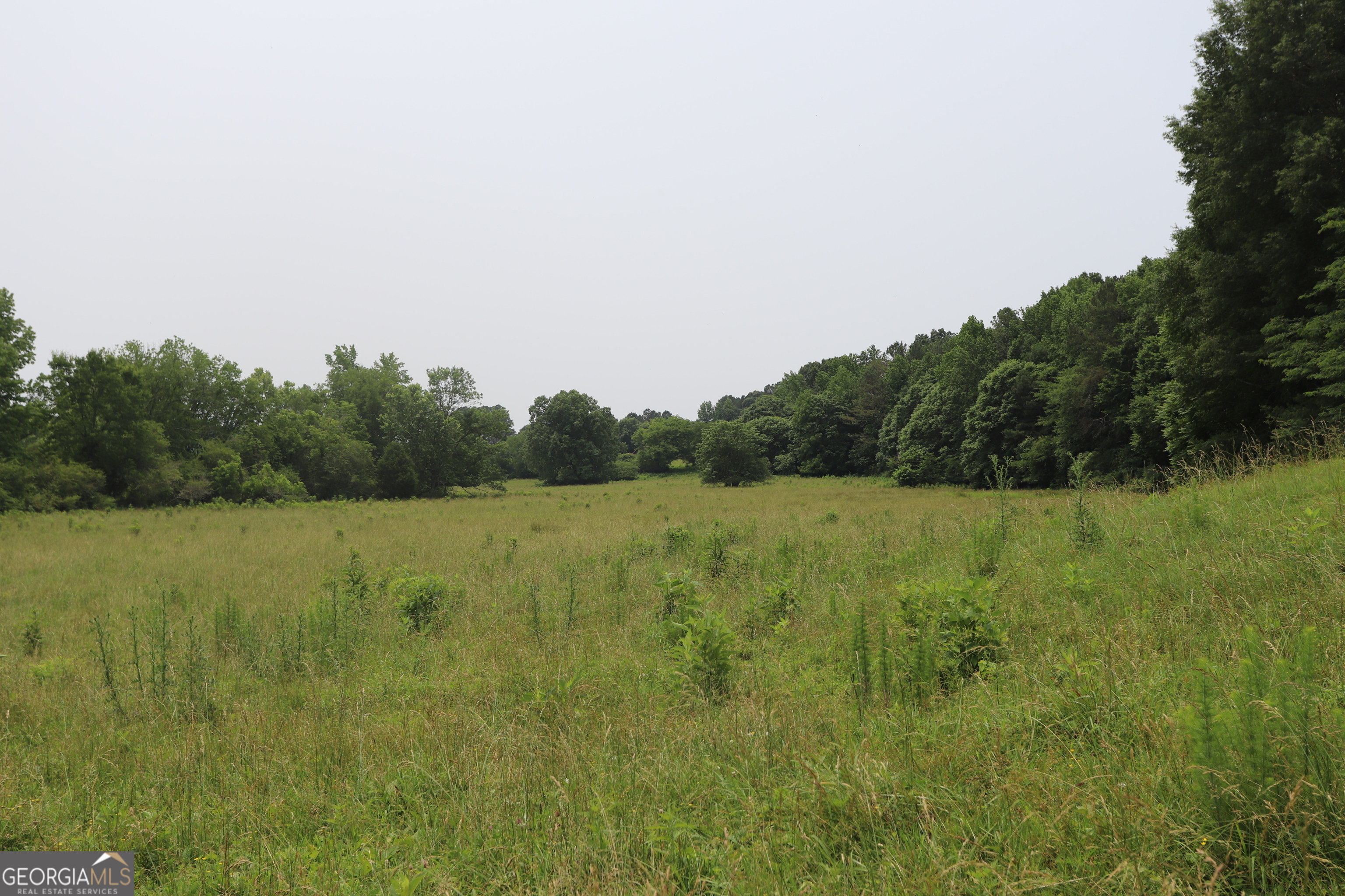 0 Co Rd 64 Property Photo 51
