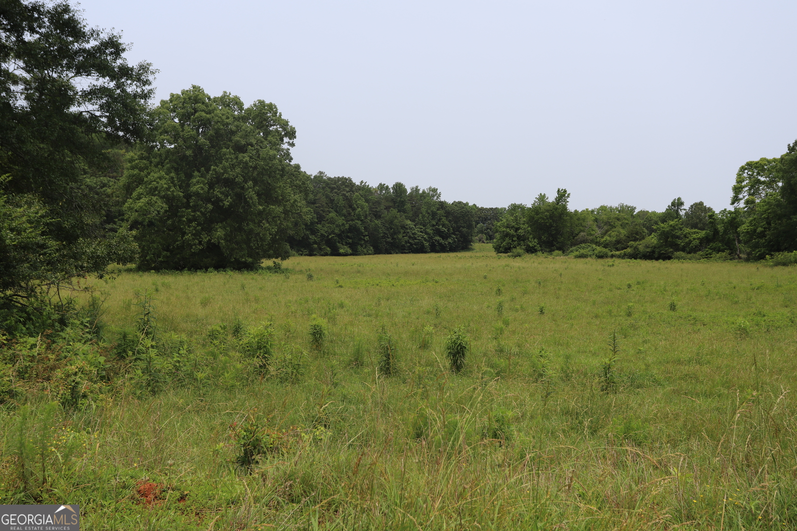0 Co Rd 64 Property Photo 58