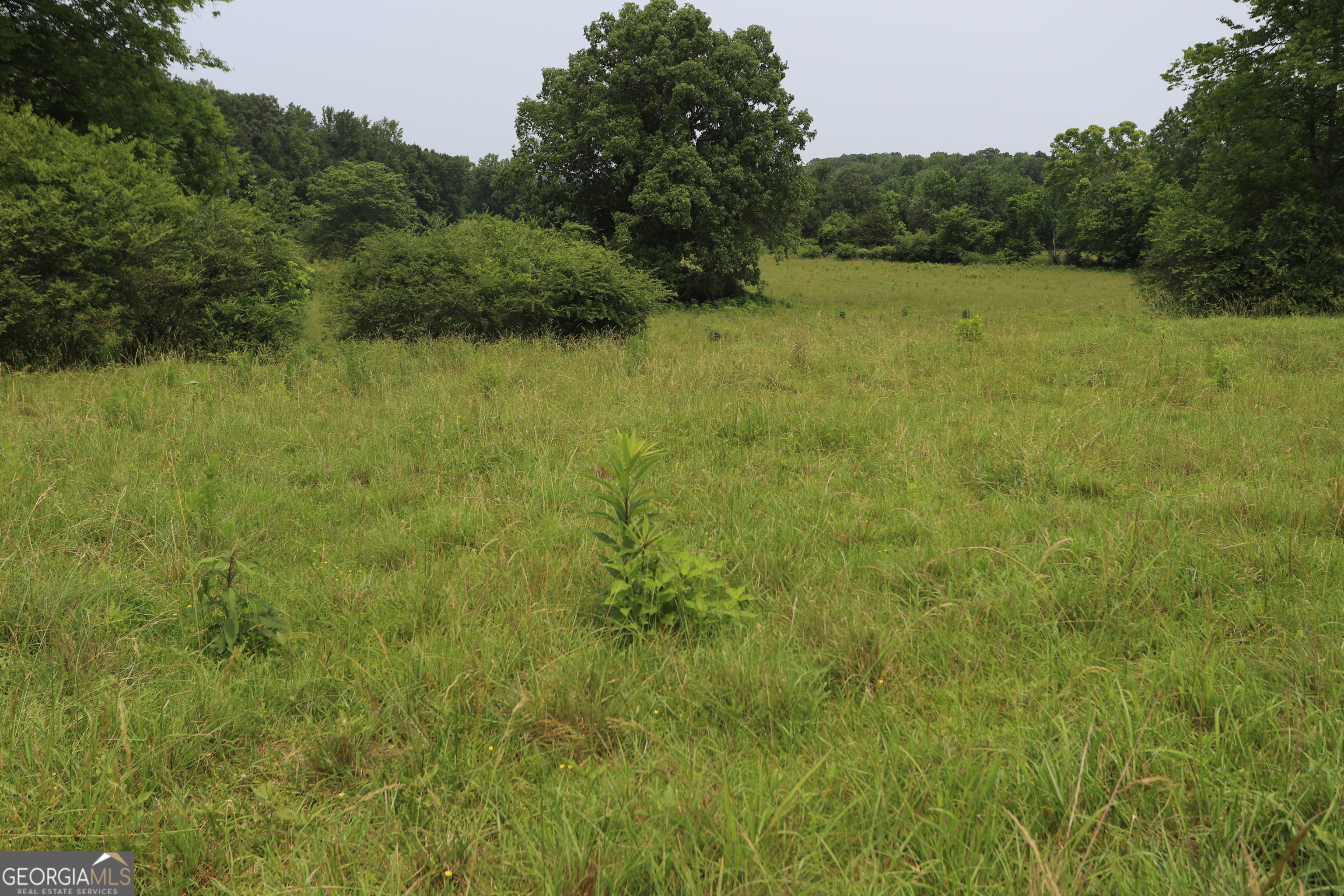 0 Co Rd 64 Property Photo 59