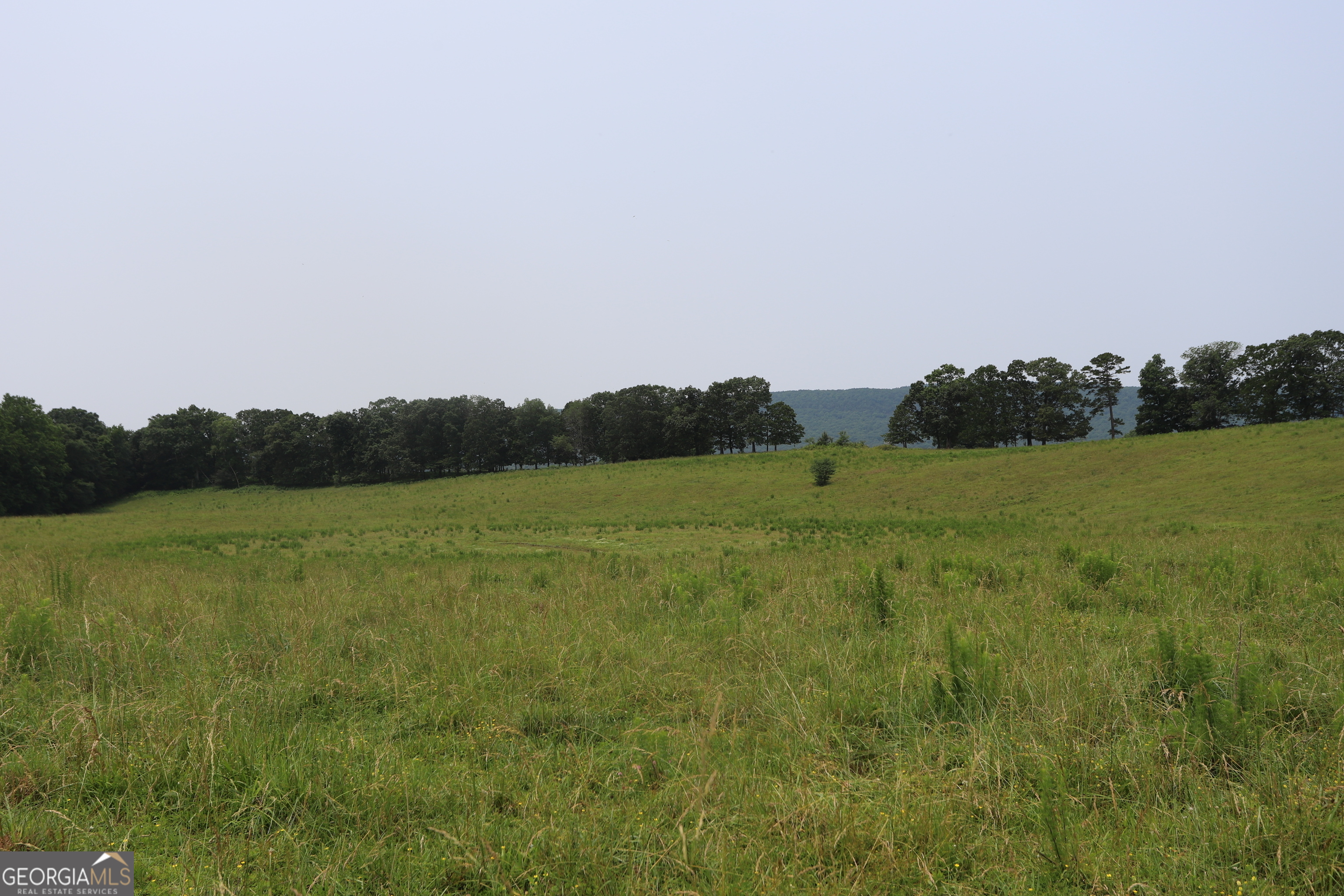 0 Co Rd 64 Property Photo 62