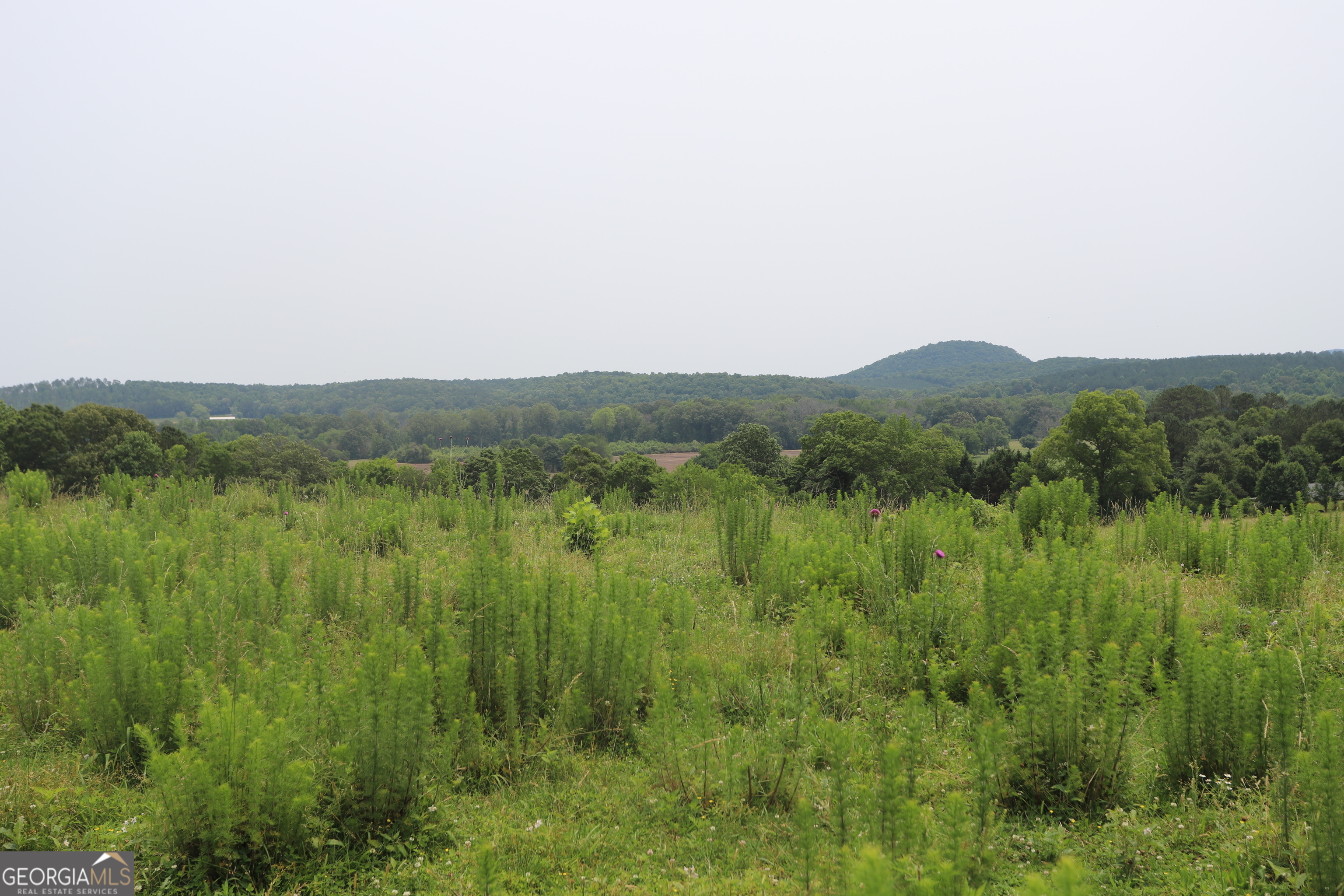 0 Co Rd 64 Property Photo 66