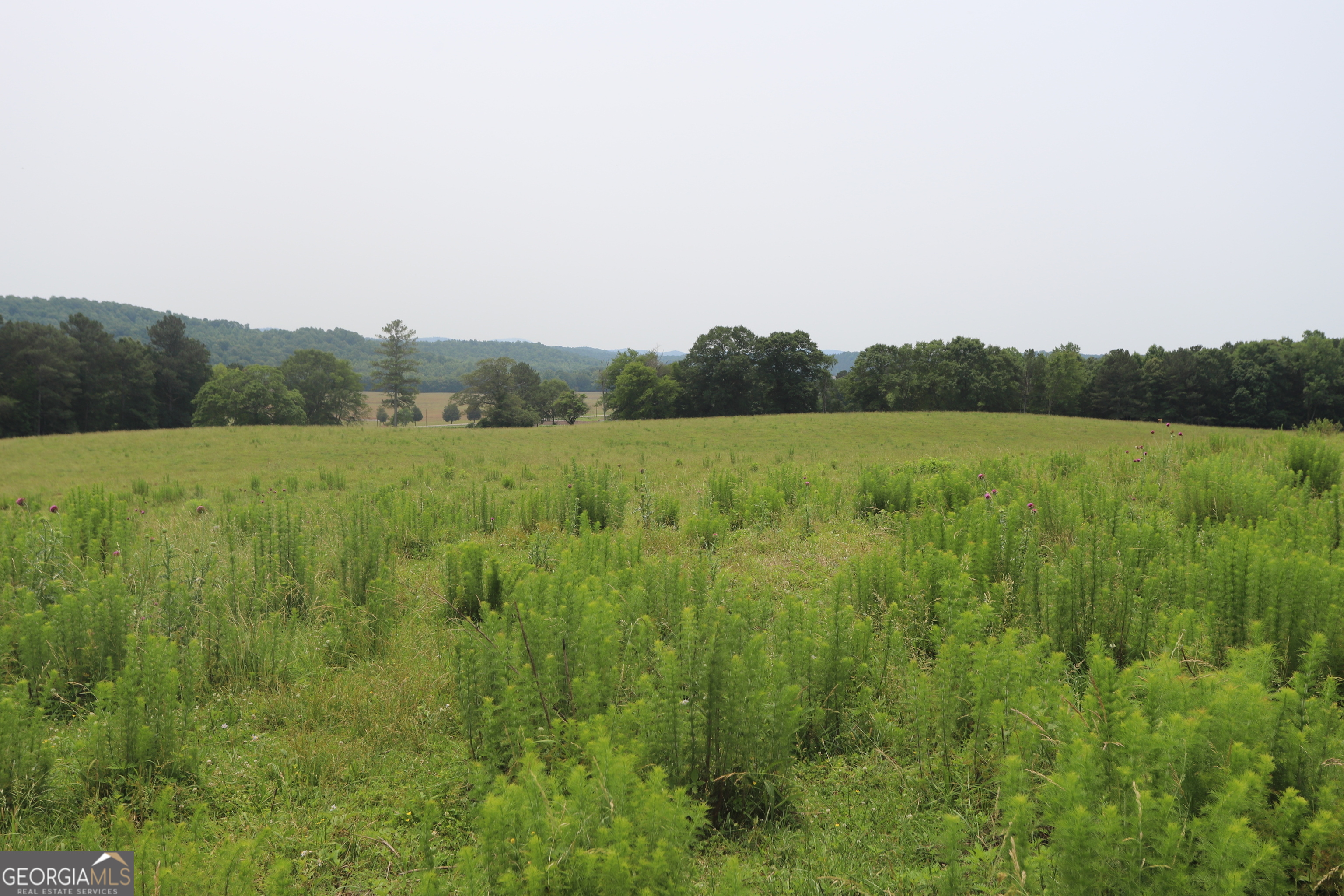 0 Co Rd 64 Property Photo 67