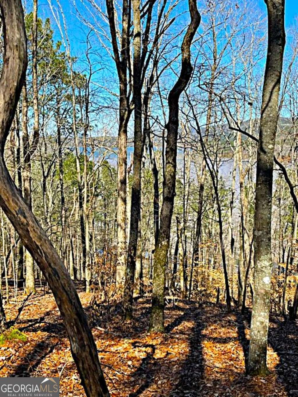 0 Carters Overlook Drive Property Photo 1